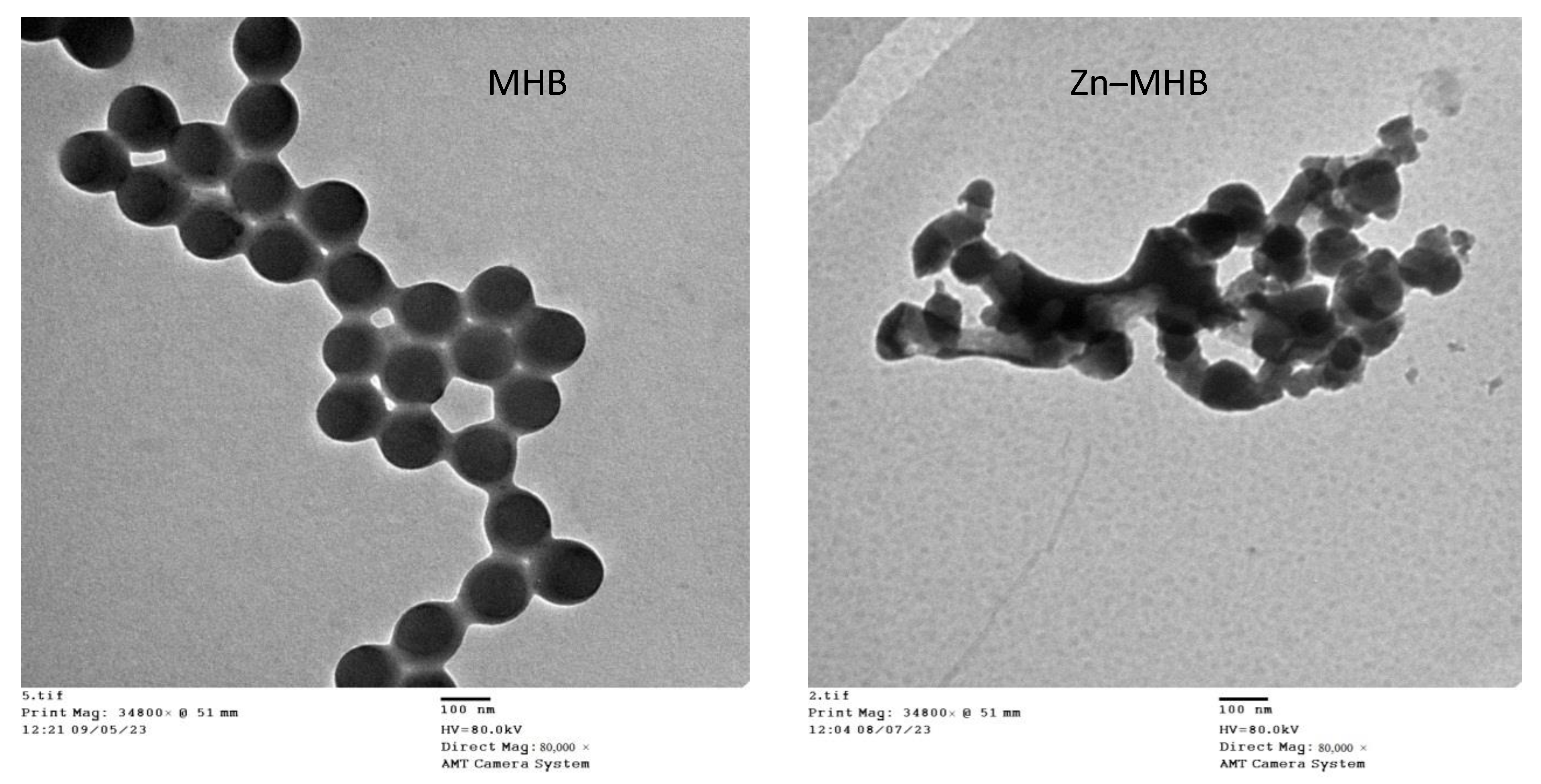 Crystals 14 00088 g008 Crystals 14 00088 g008