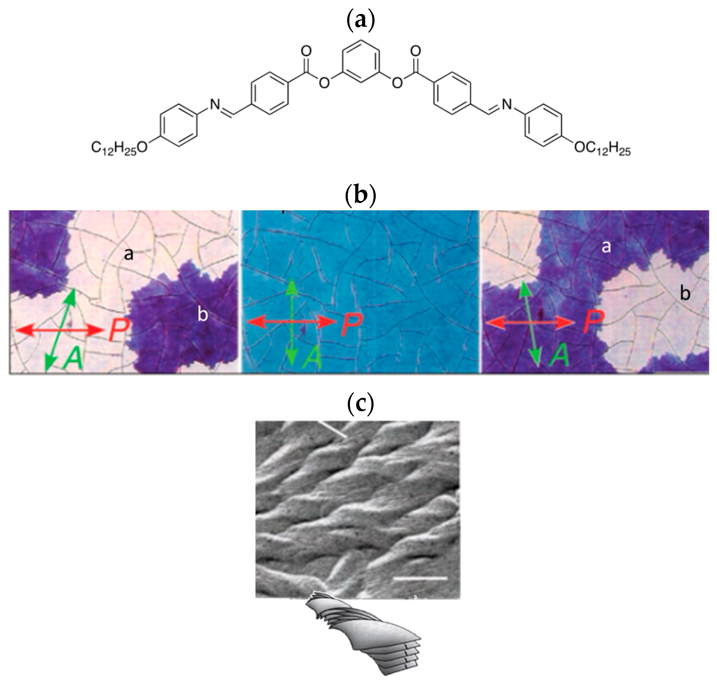 Crystals 14 00097 g004