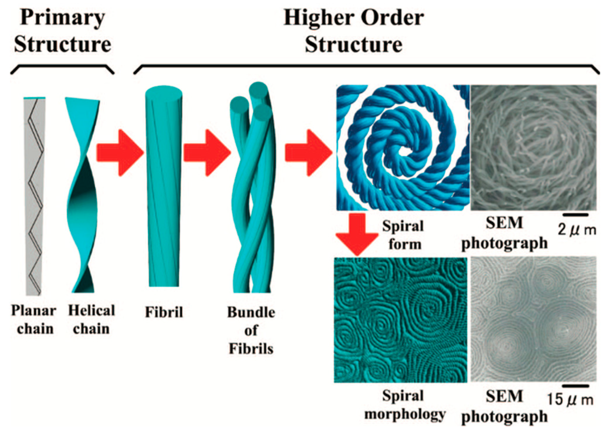 Crystals 14 00097 g006