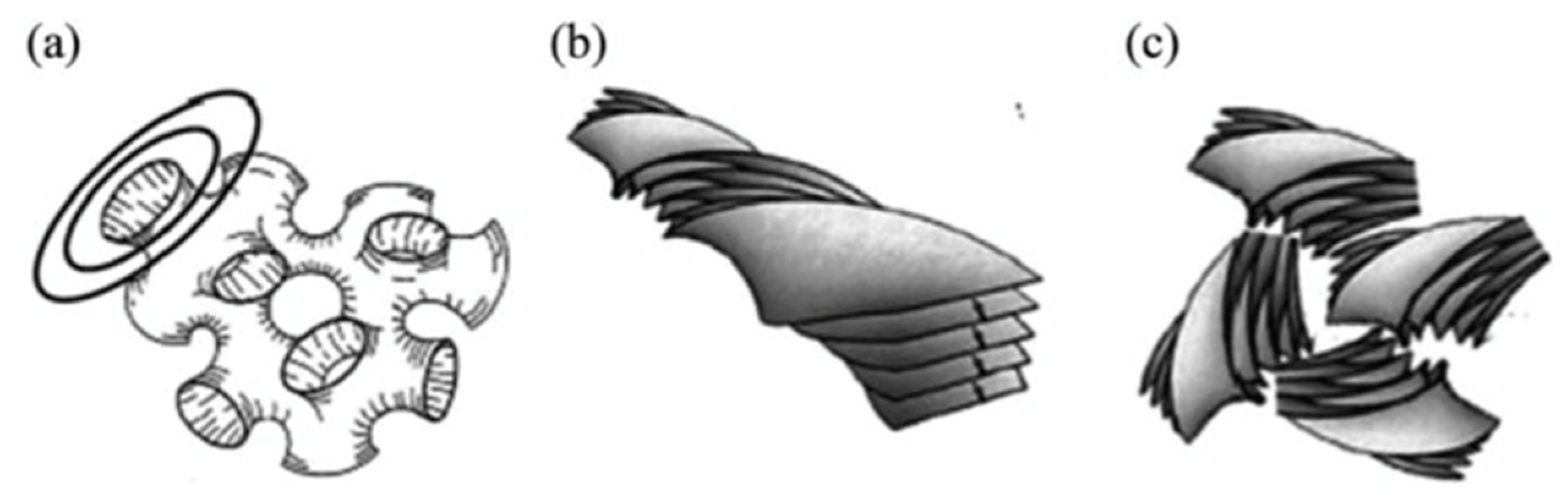 Crystals 14 00097 g012