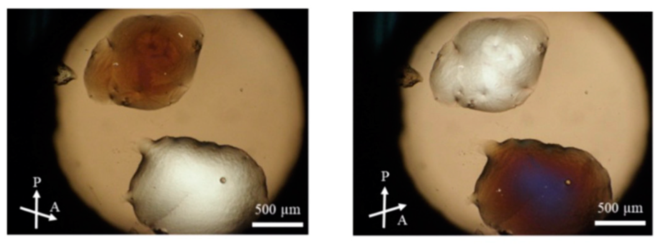 Crystals 14 00097 g023