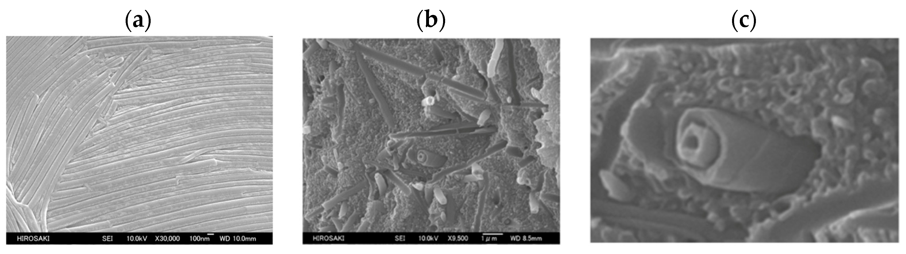 Crystals 14 00097 g026