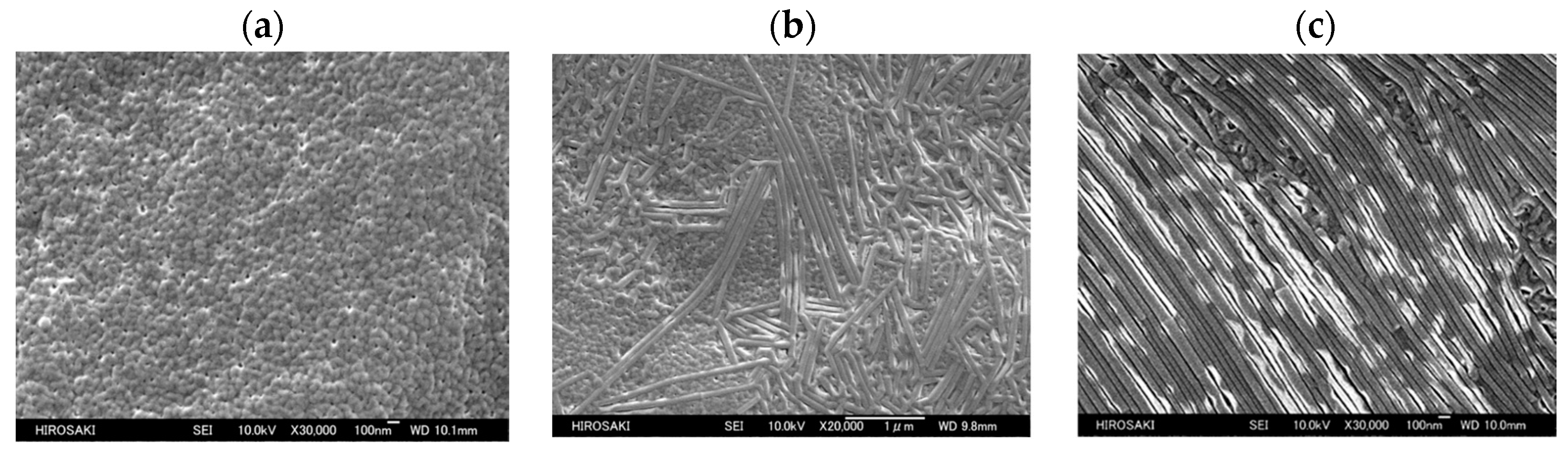 Crystals 14 00097 g027