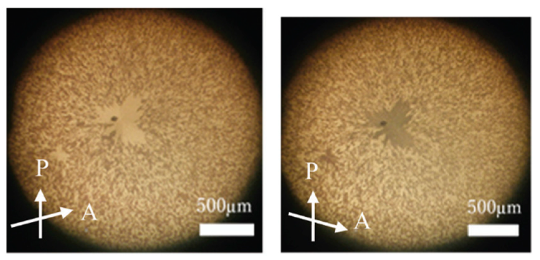 Crystals 14 00097 g032
