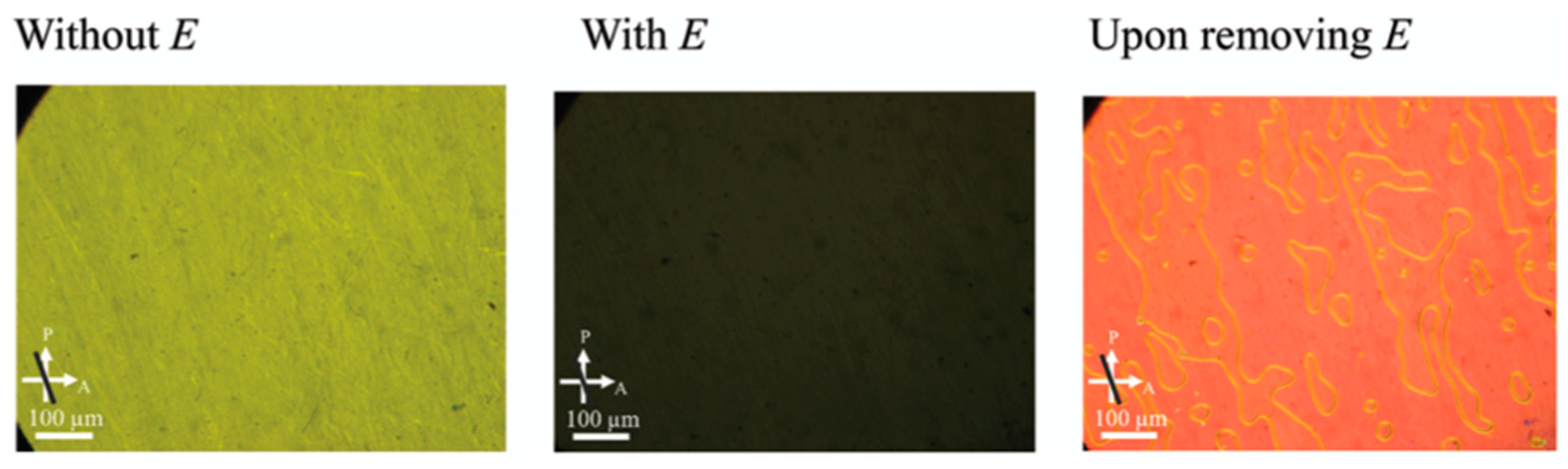 Crystals 14 00097 g037