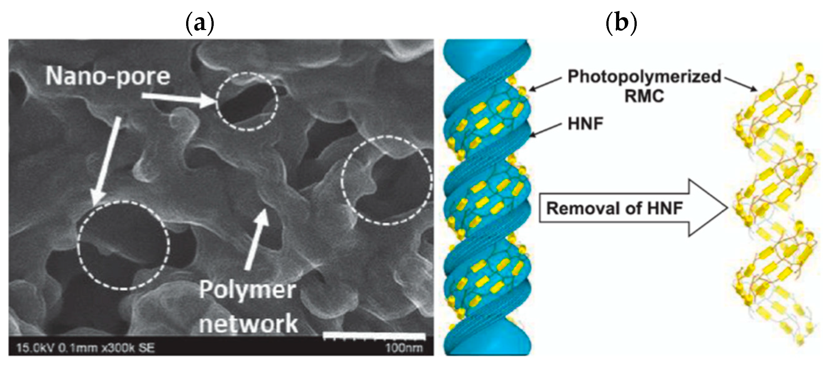 Crystals 14 00097 g043