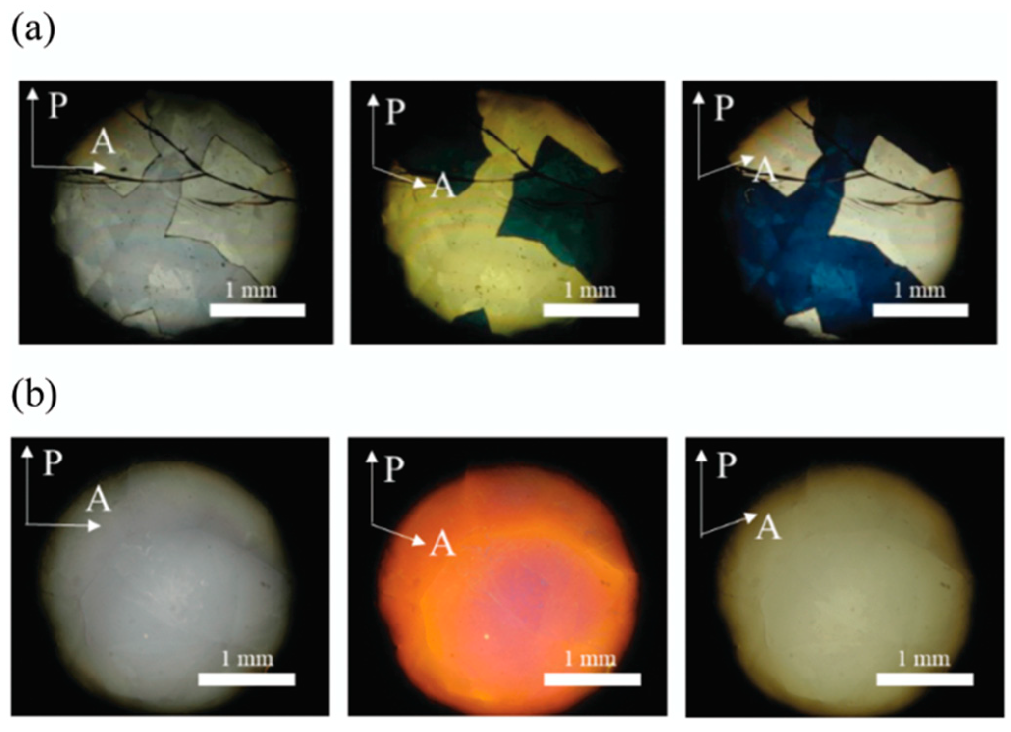 Crystals 14 00097 g050