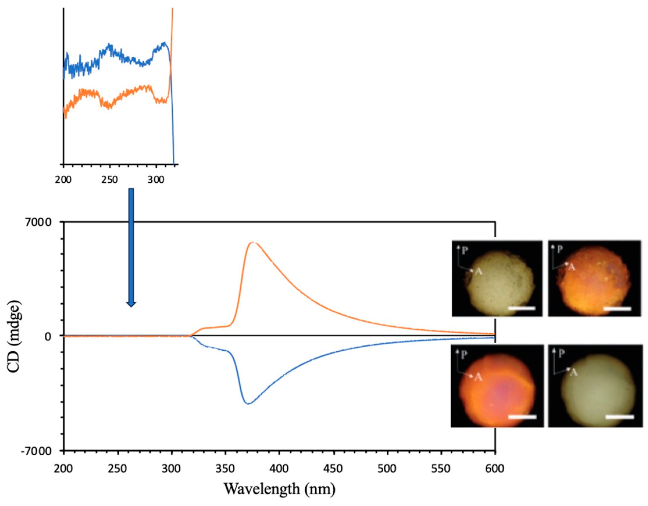 Crystals 14 00097 g051