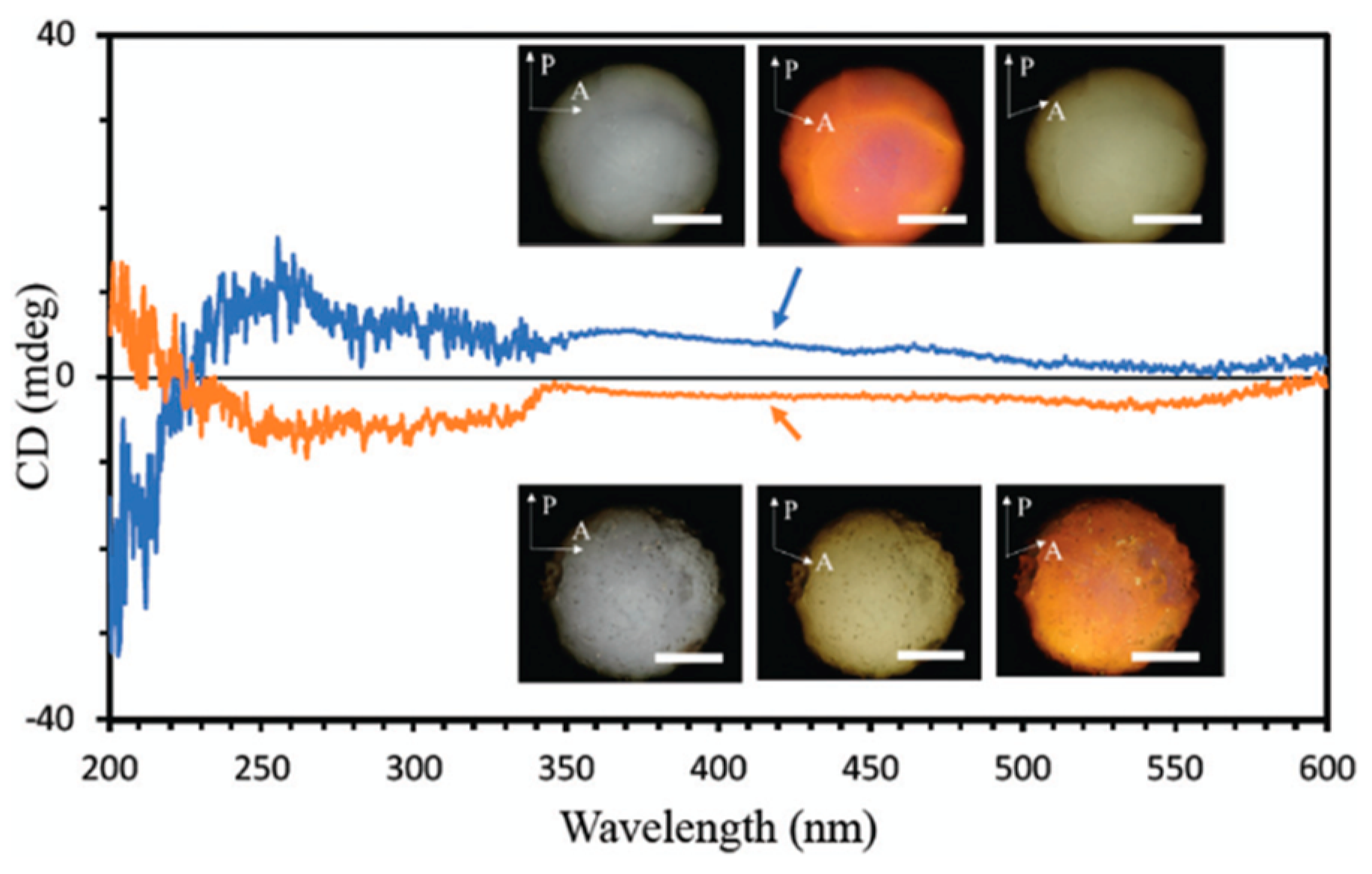 Crystals 14 00097 g053