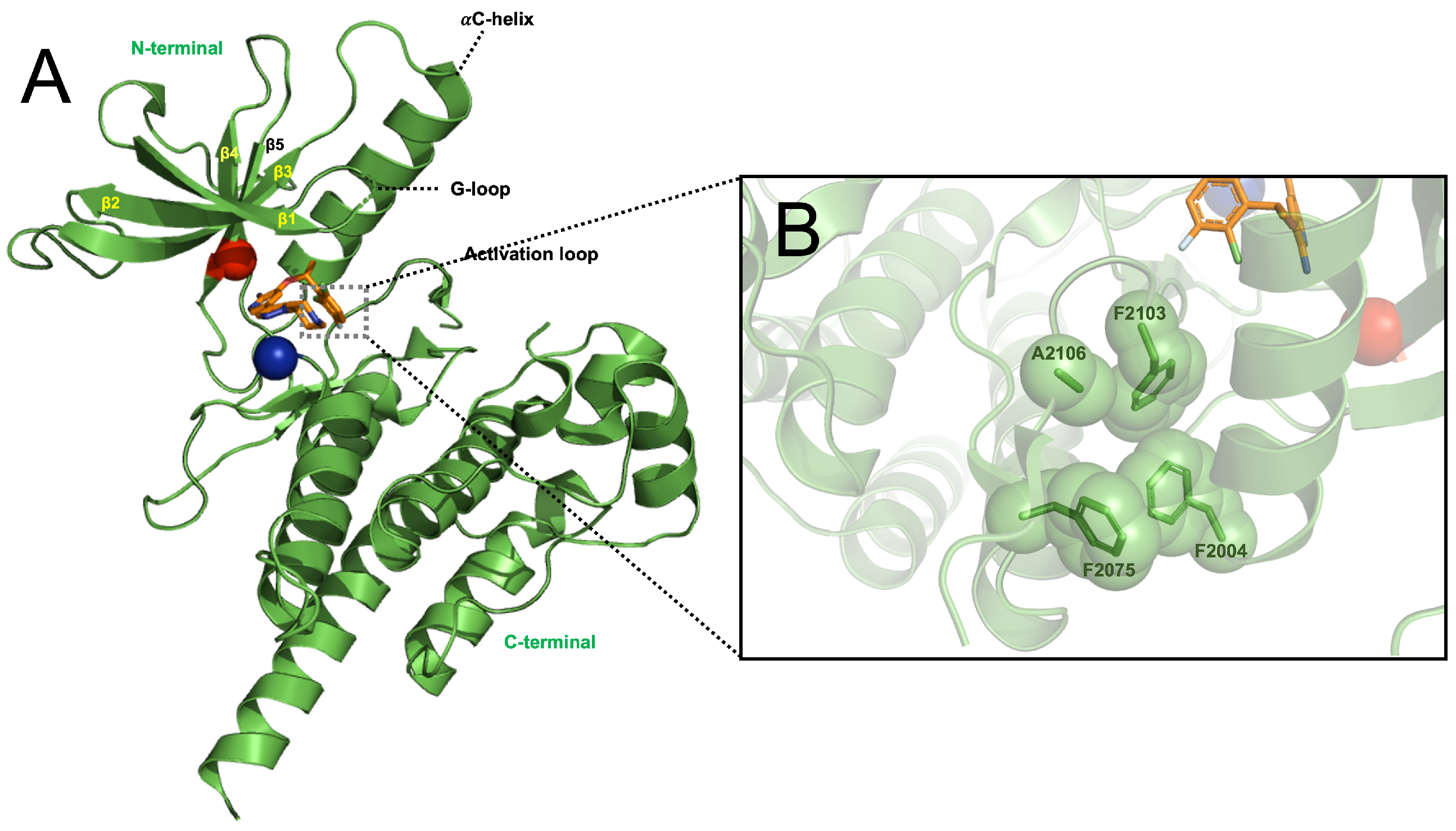 Crystals 14 00106 g001