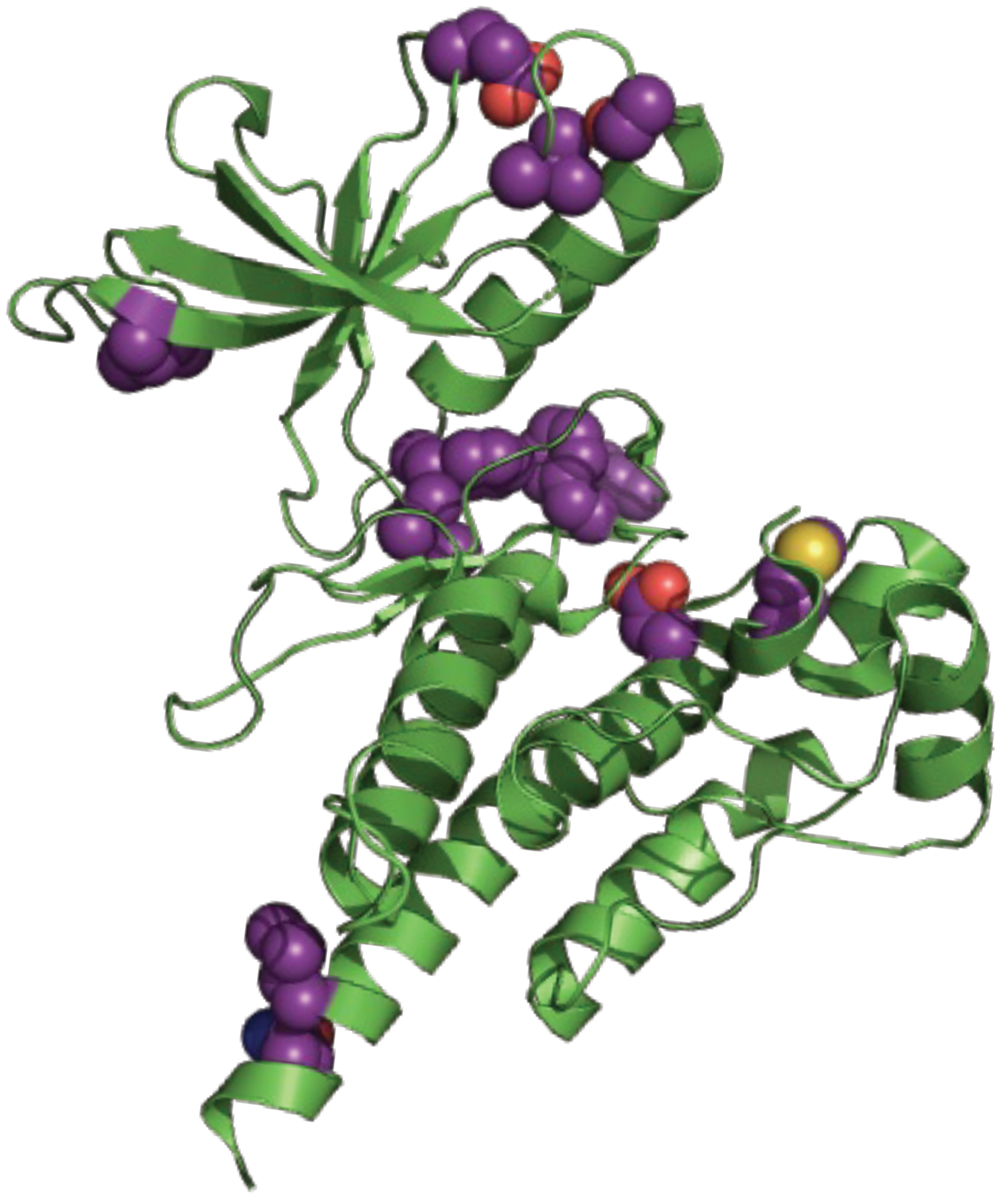 Crystals 14 00106 g007