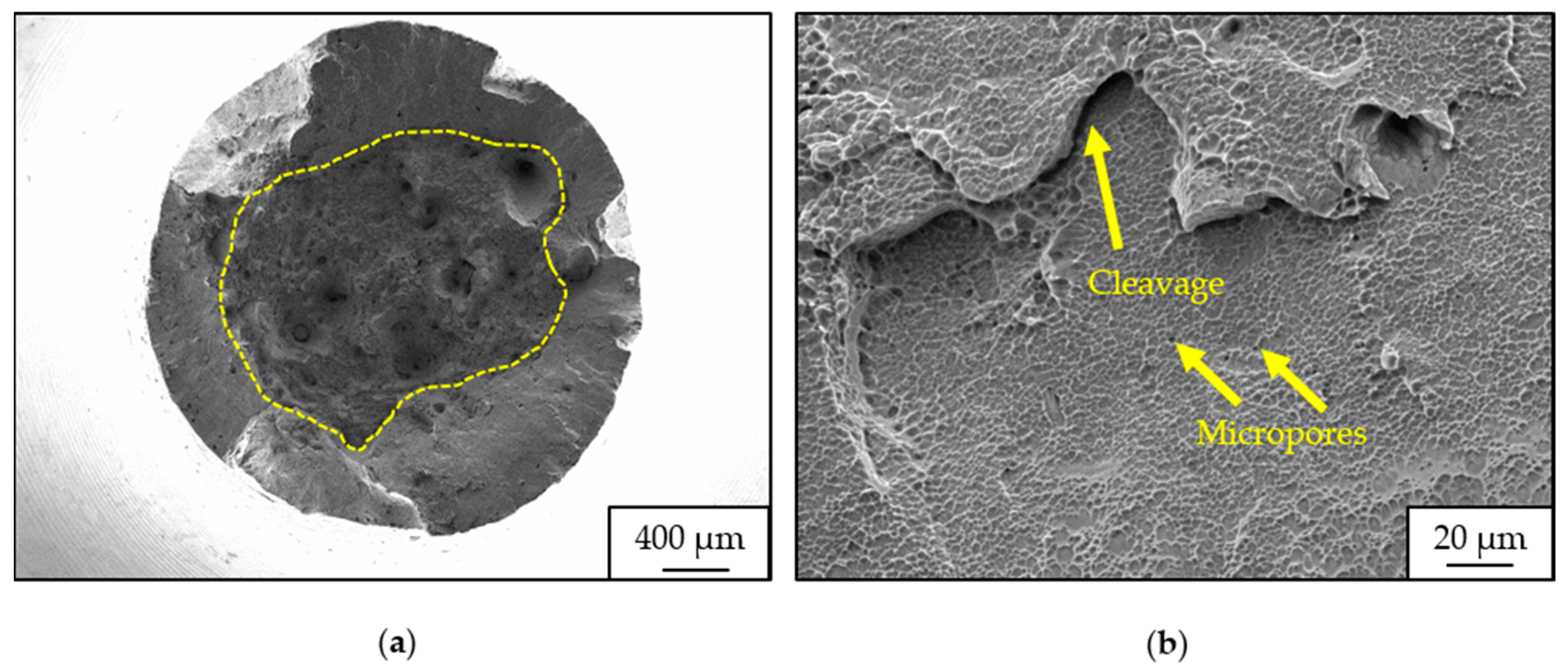 Crystals 14 00117 g007