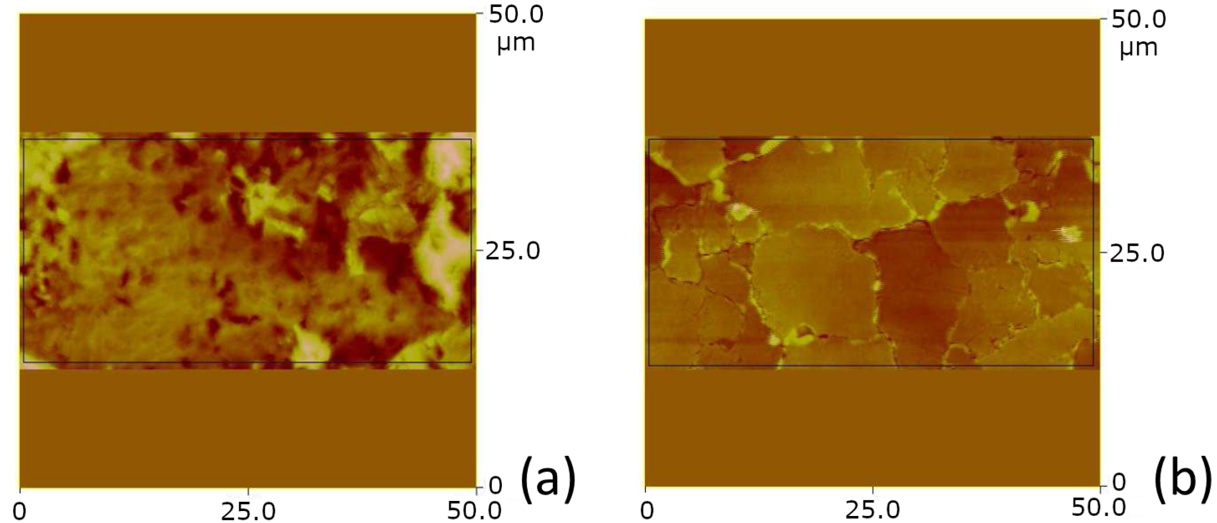 Crystals 14 00125 g005