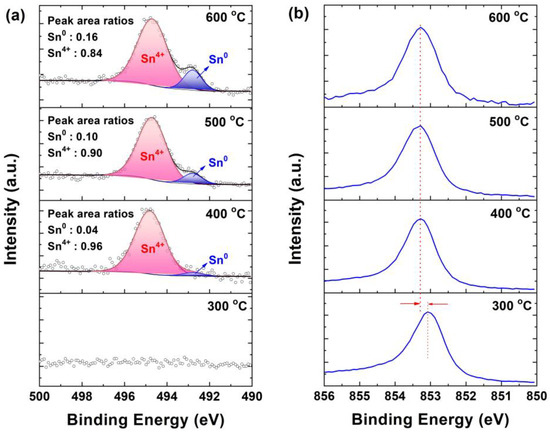 Microstructural Evolution of Ni-Stanogermanides and Sn Segregation