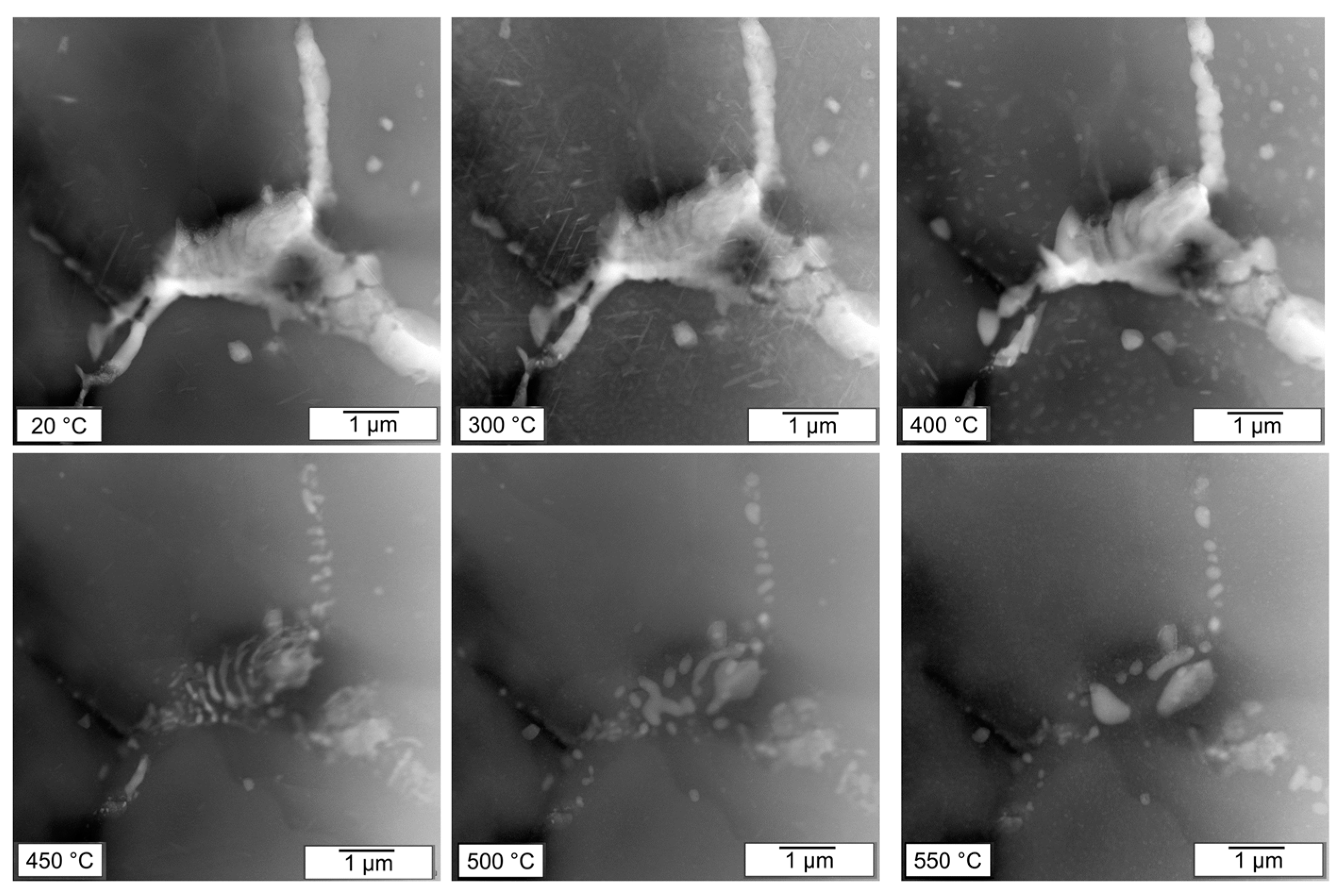 Crystals 14 00136 g008