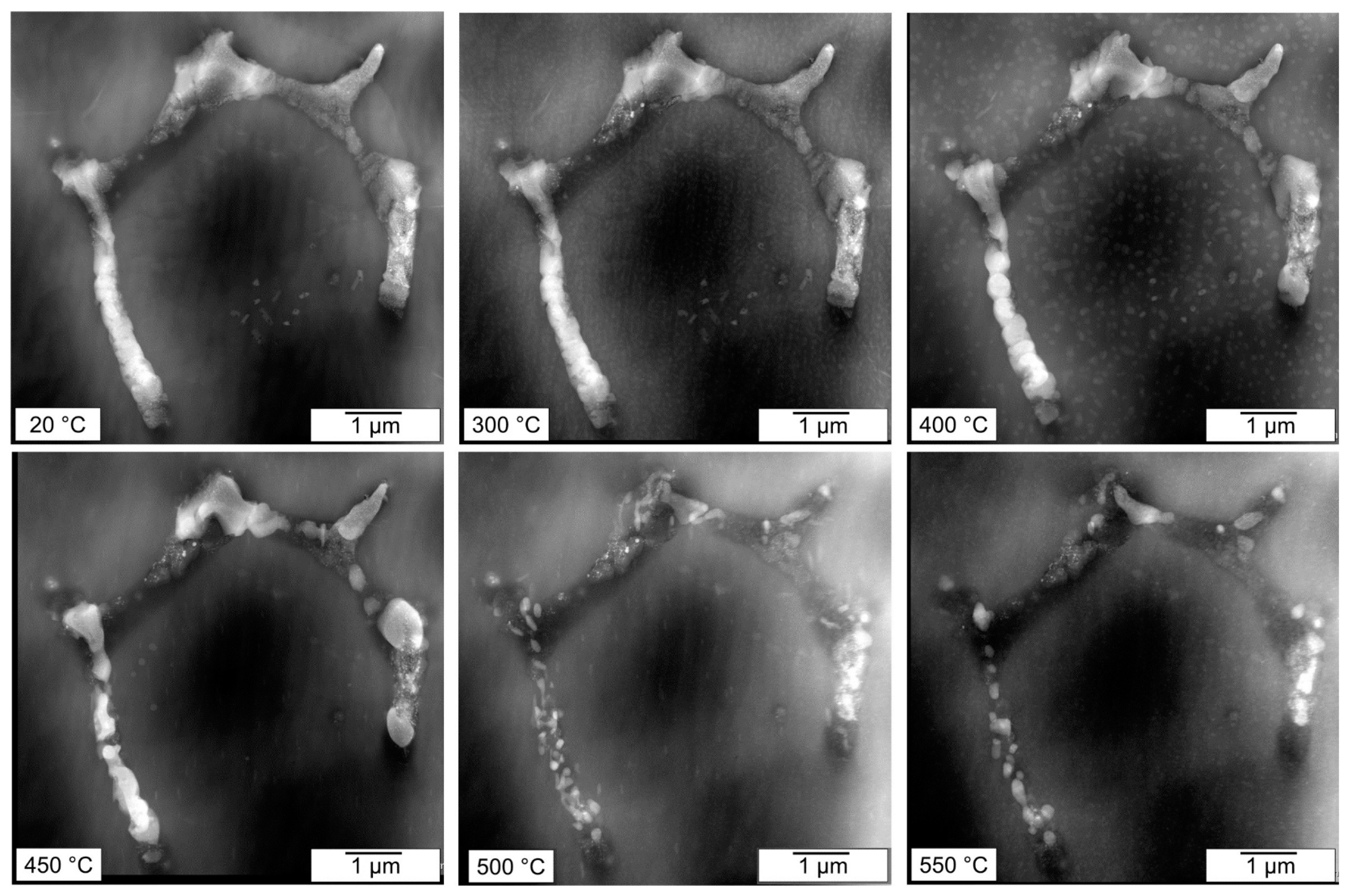 Crystals 14 00136 g009