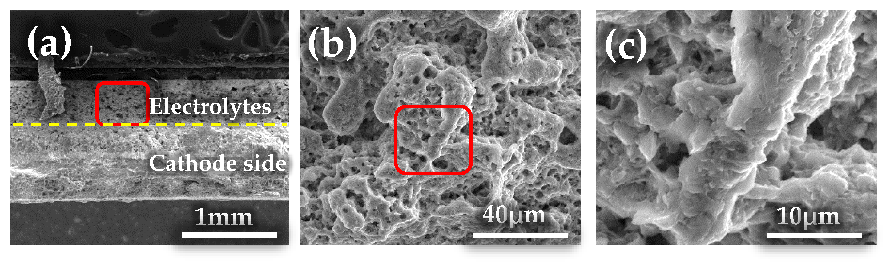 Crystals 14 00198 g007