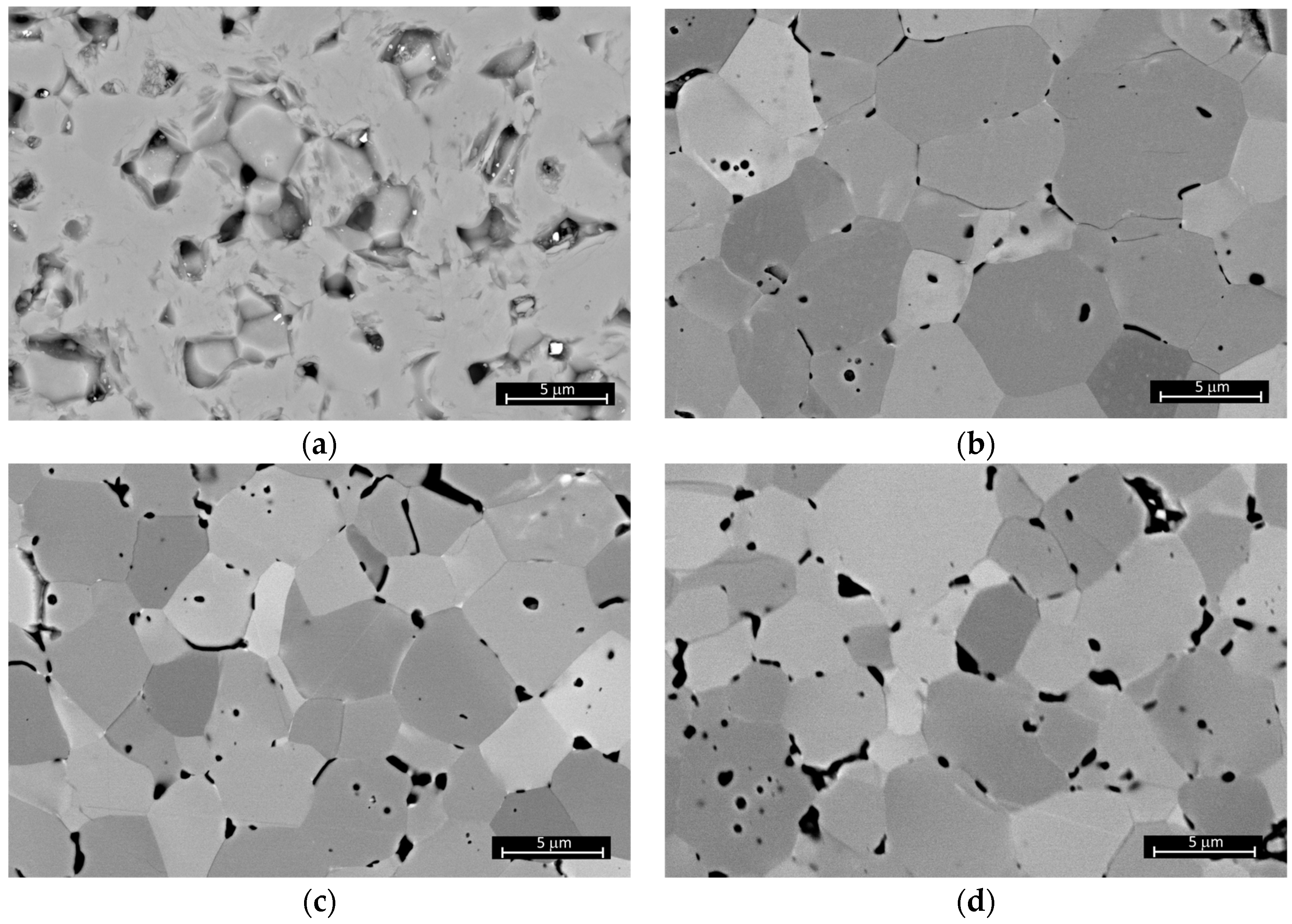 Crystals 14 00212 g005