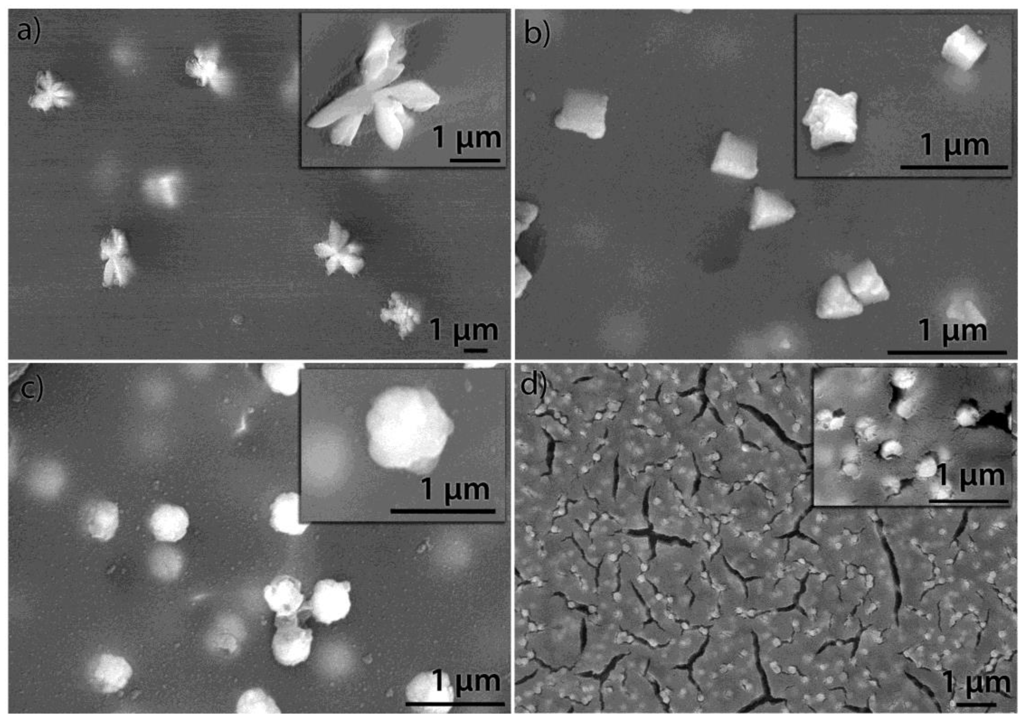 Crystals 14 00214 g011