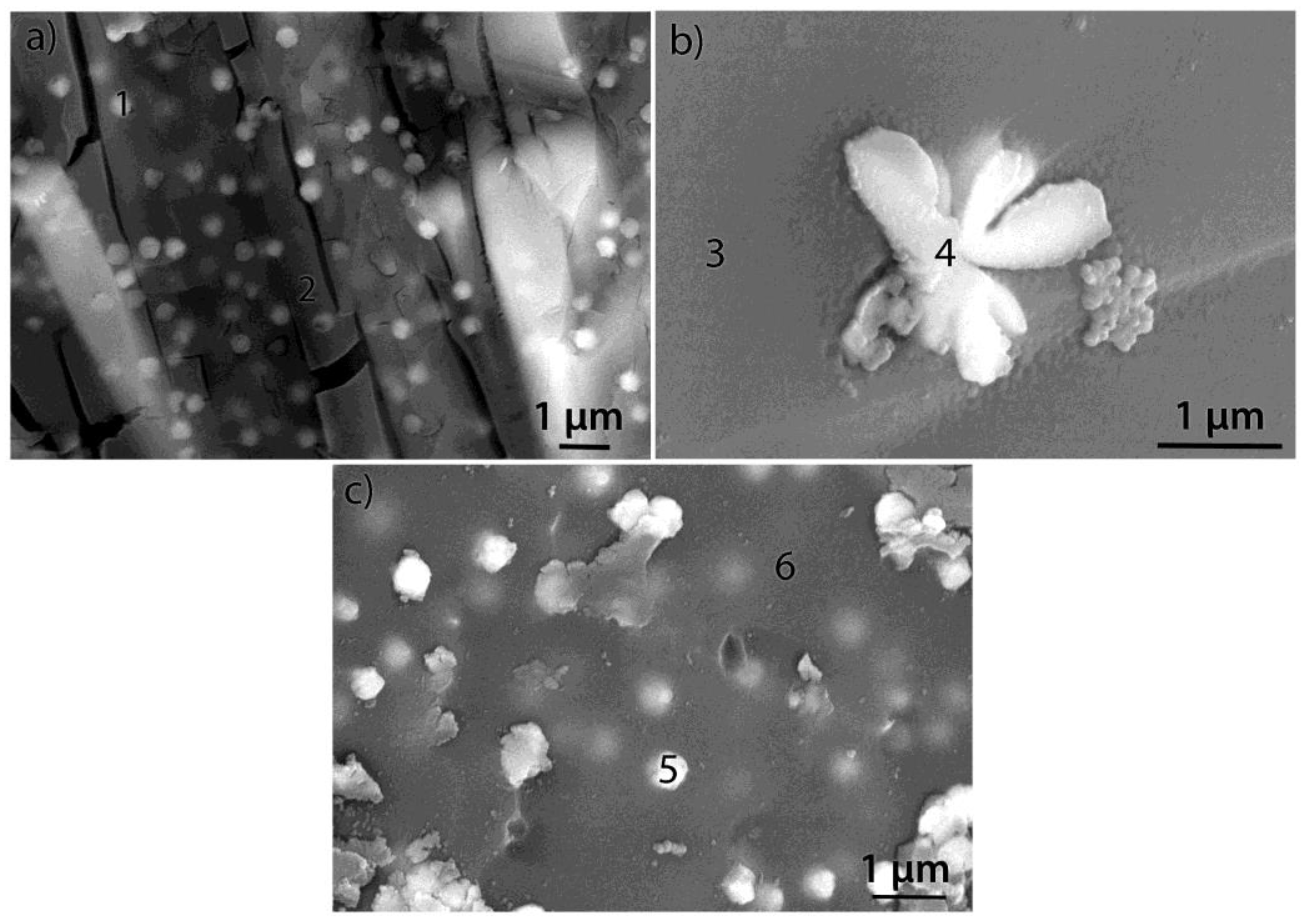 Crystals 14 00214 g012