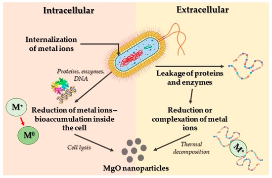 Magnesium Oxide (MgO) Nanoparticles: Synthetic Strategies
