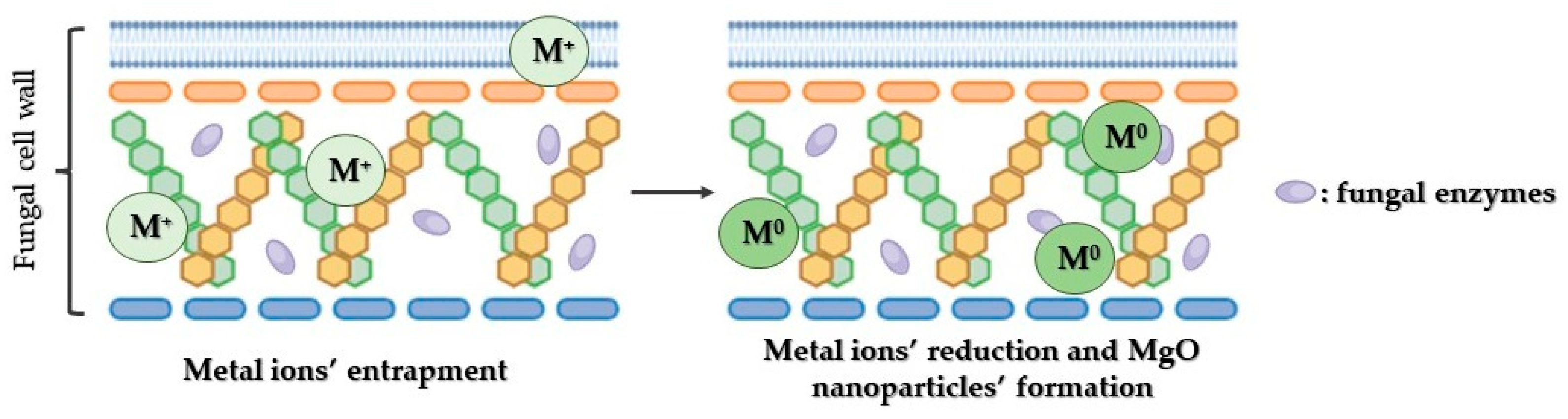 Crystals 14 00215 g008