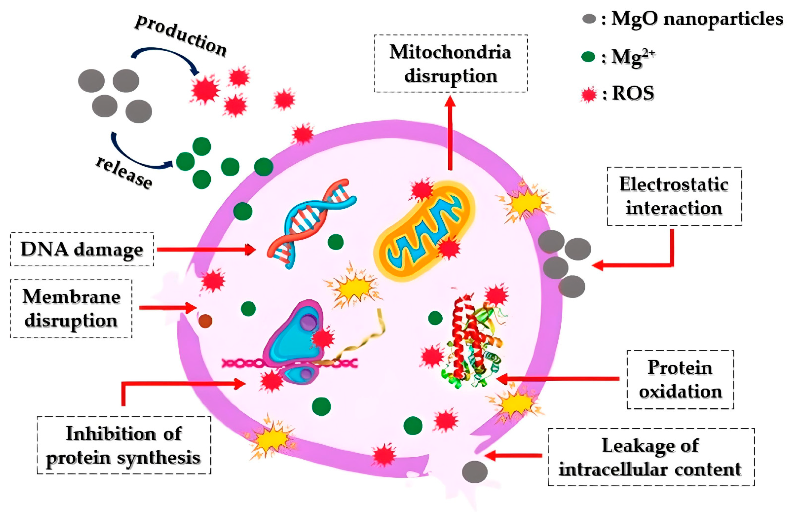 Crystals 14 00215 g011