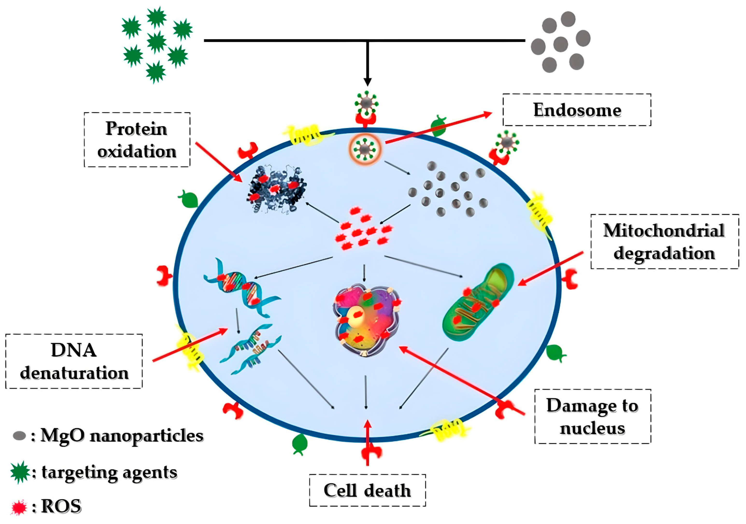 Crystals 14 00215 g013