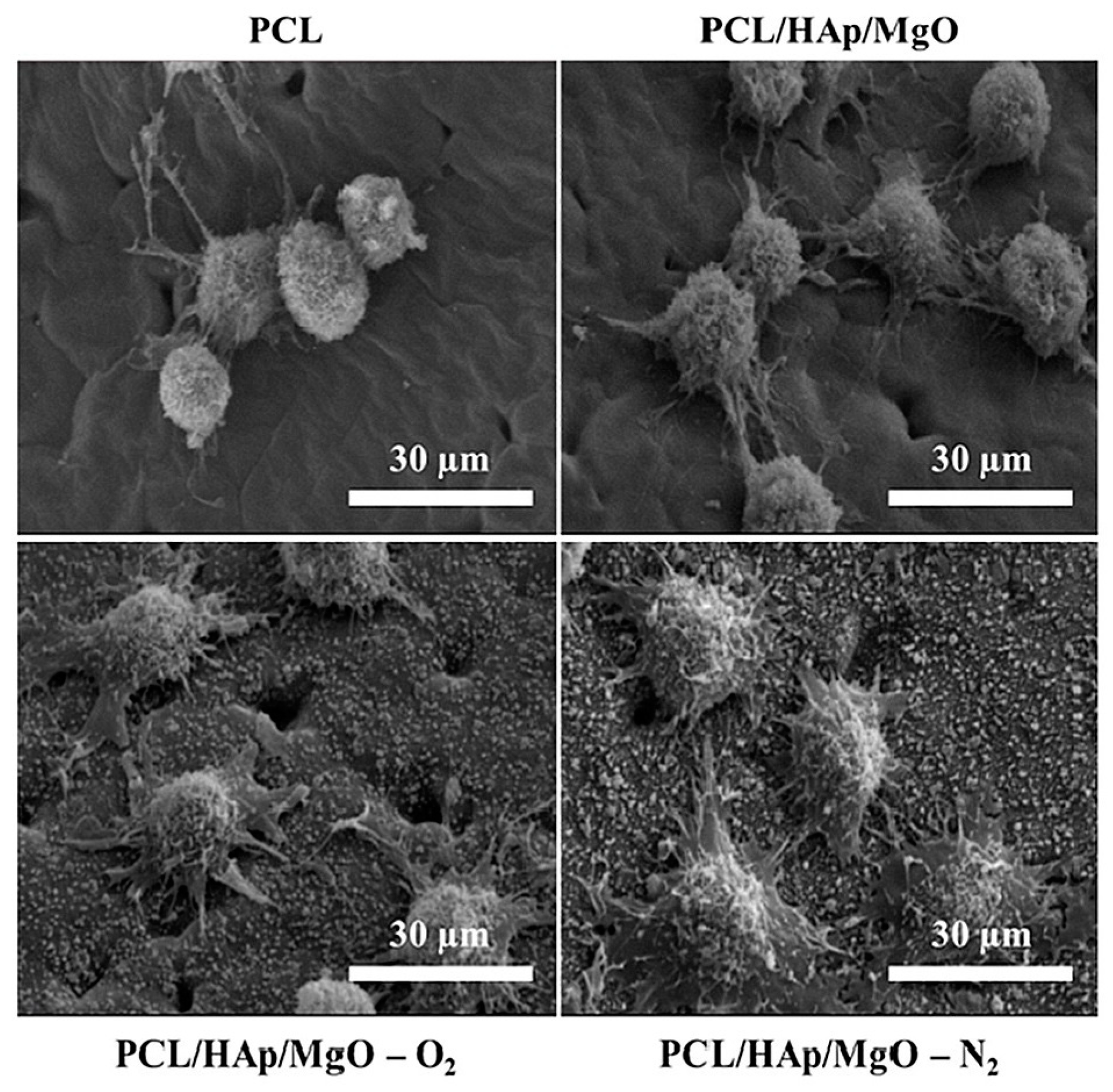Crystals 14 00215 g017