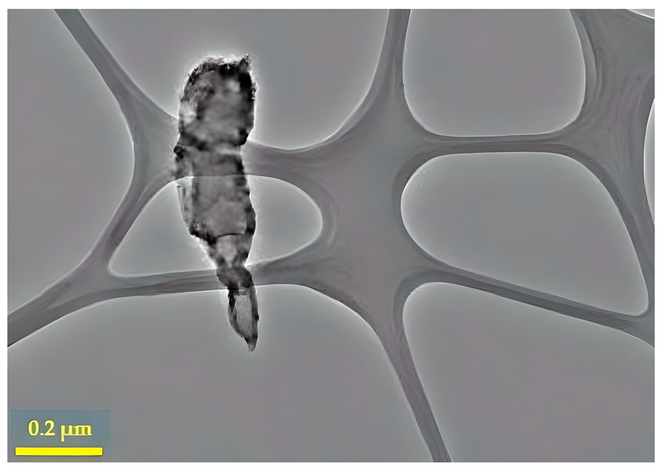 Crystals 14 00215 g018