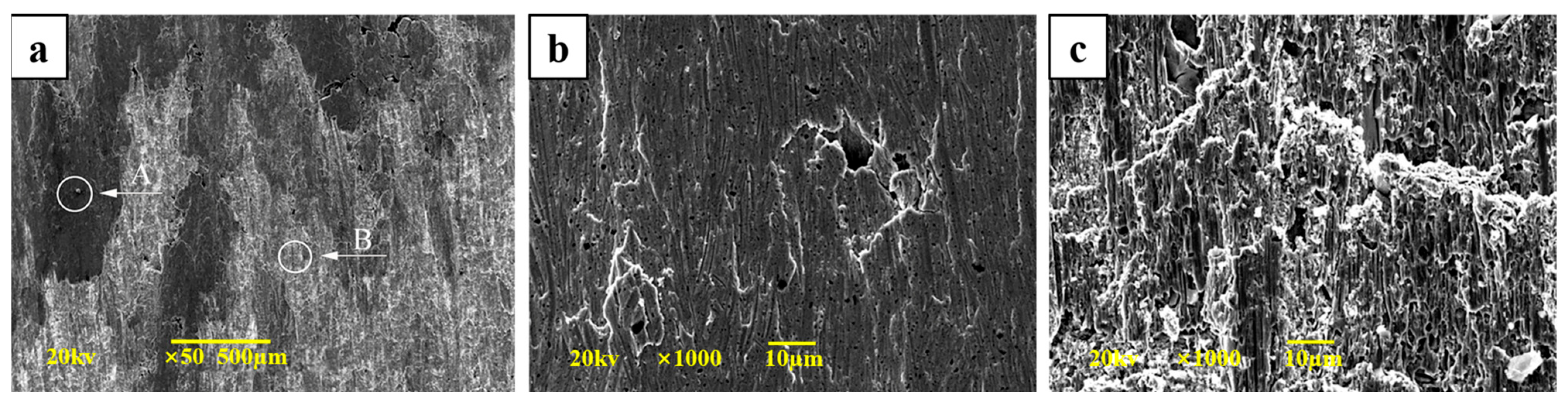 Crystals 14 00232 g004