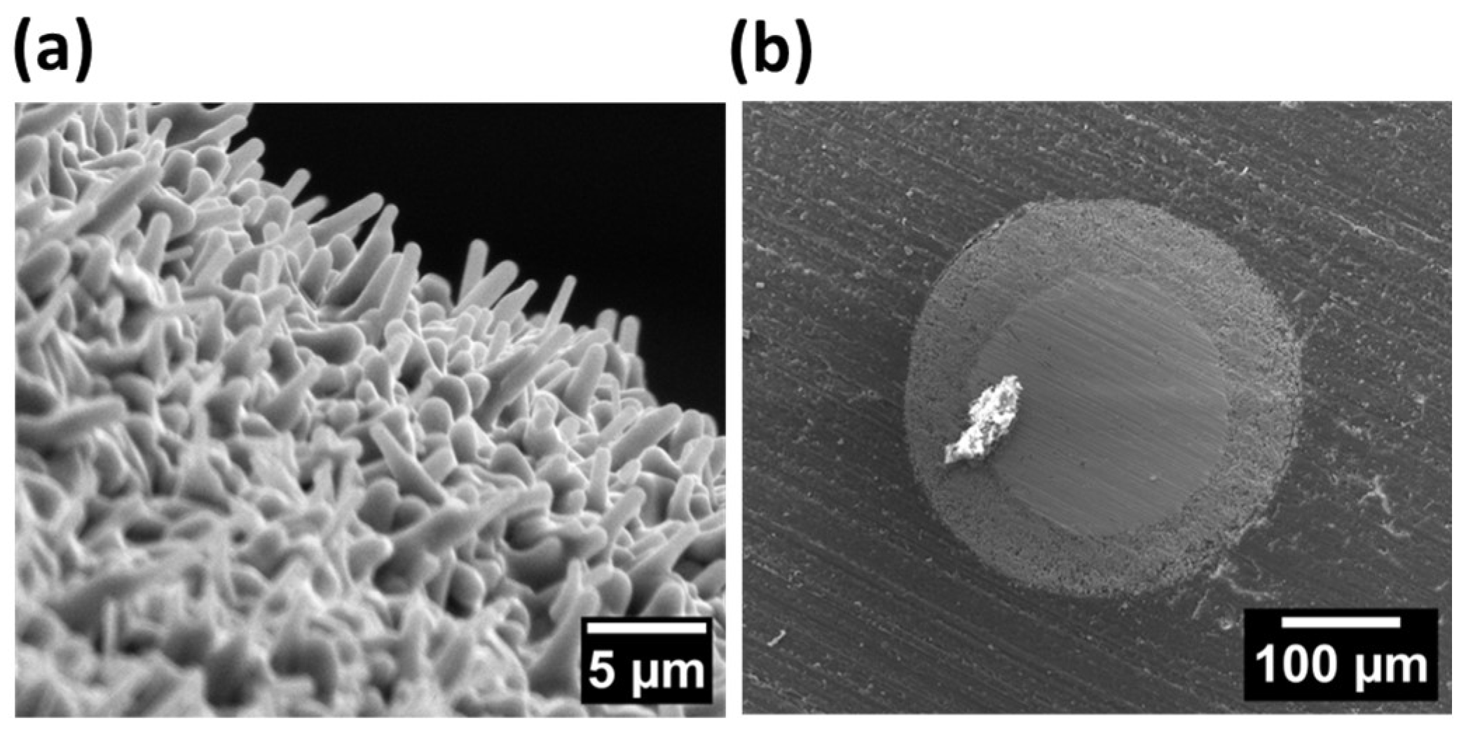 Crystals 14 00245 g005