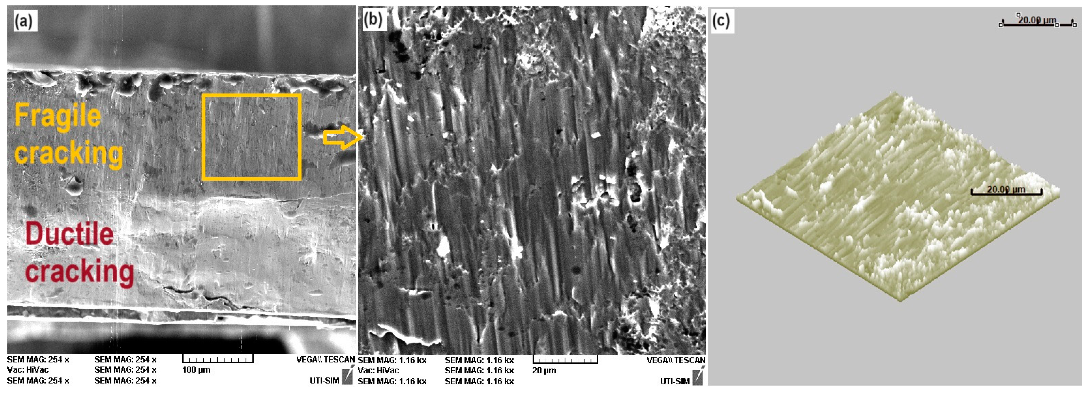 Crystals 14 00250 g007