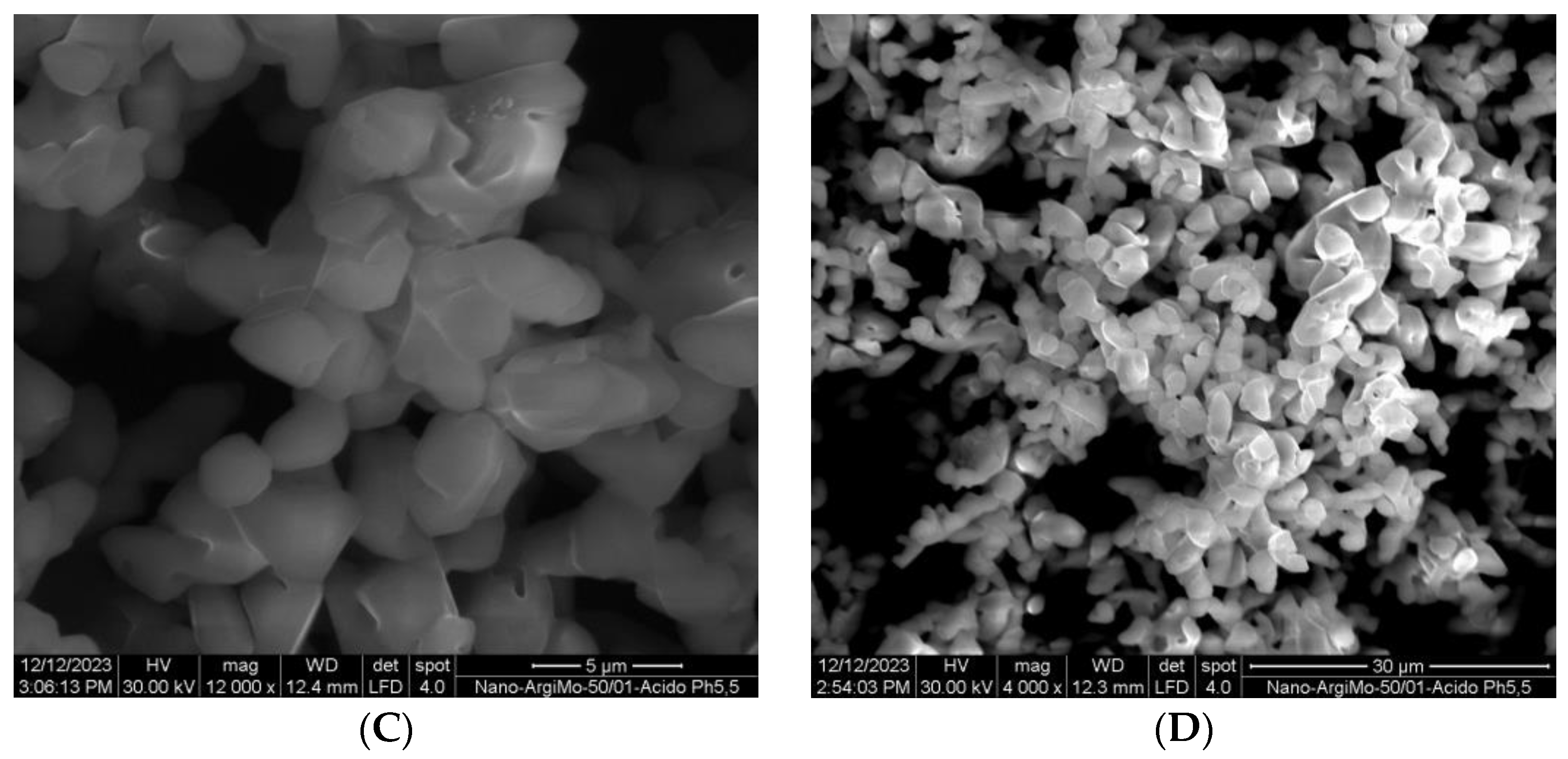 Crystals 14 00254 g007b