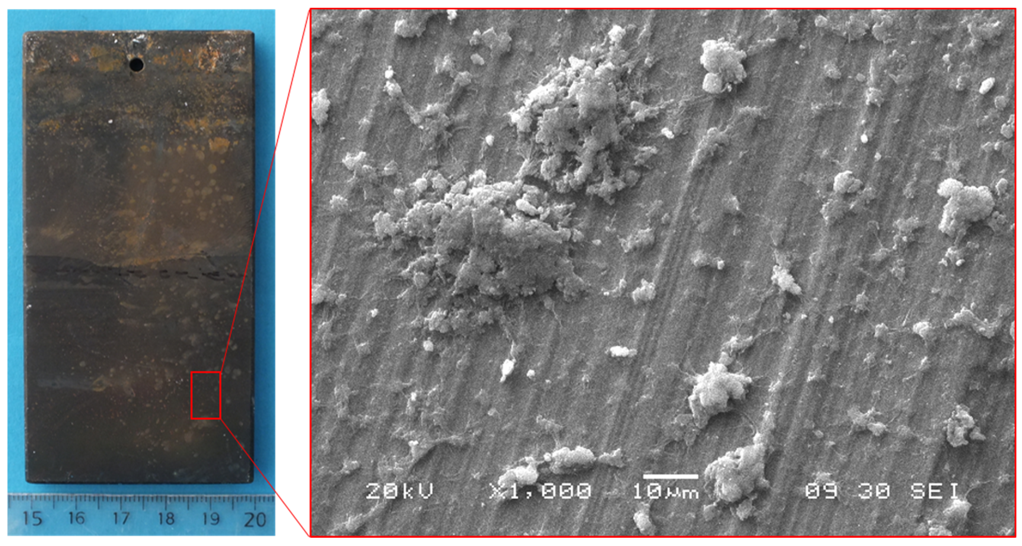 Crystals 14 00260 g002