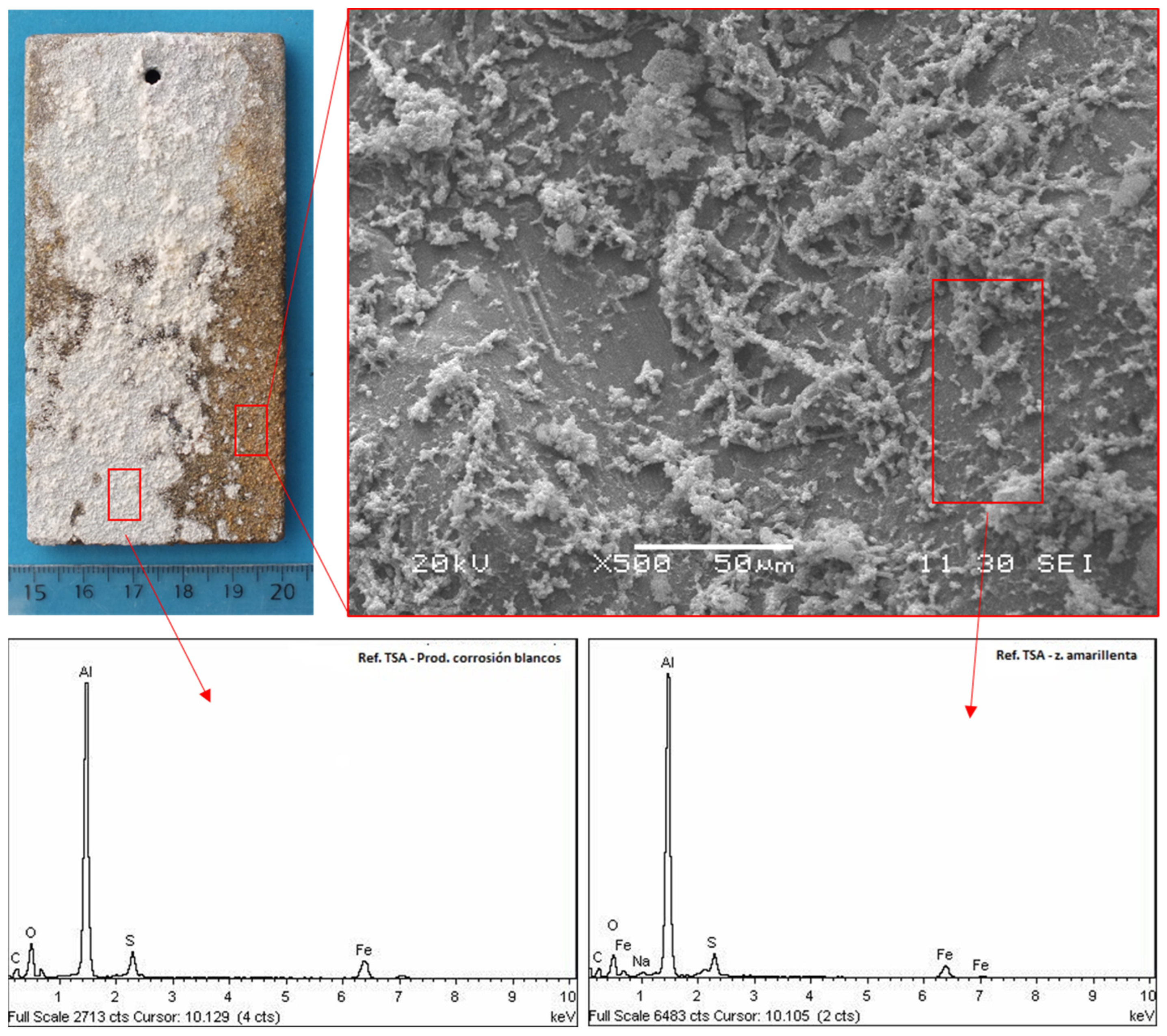 Crystals 14 00260 g004