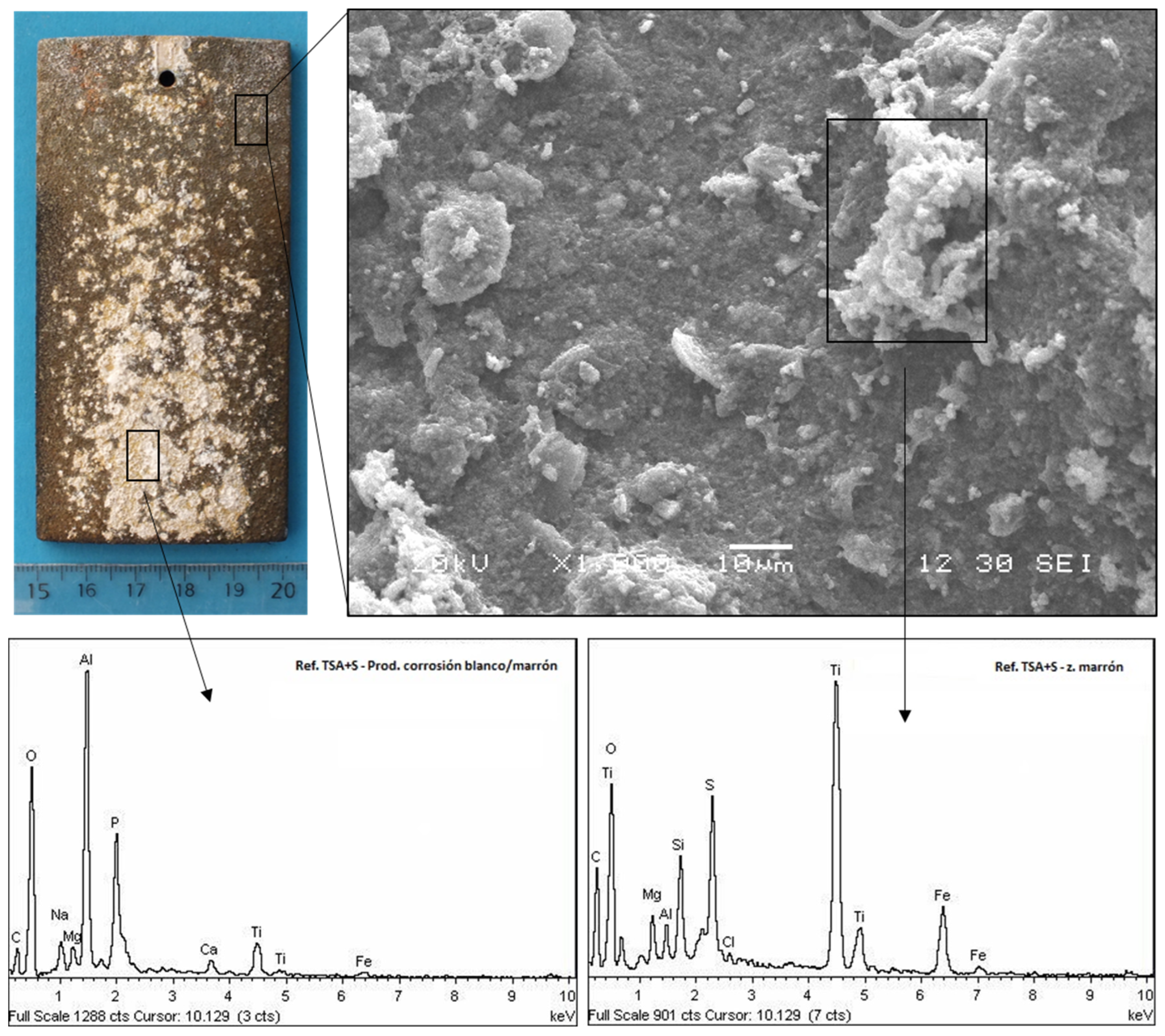 Crystals 14 00260 g005
