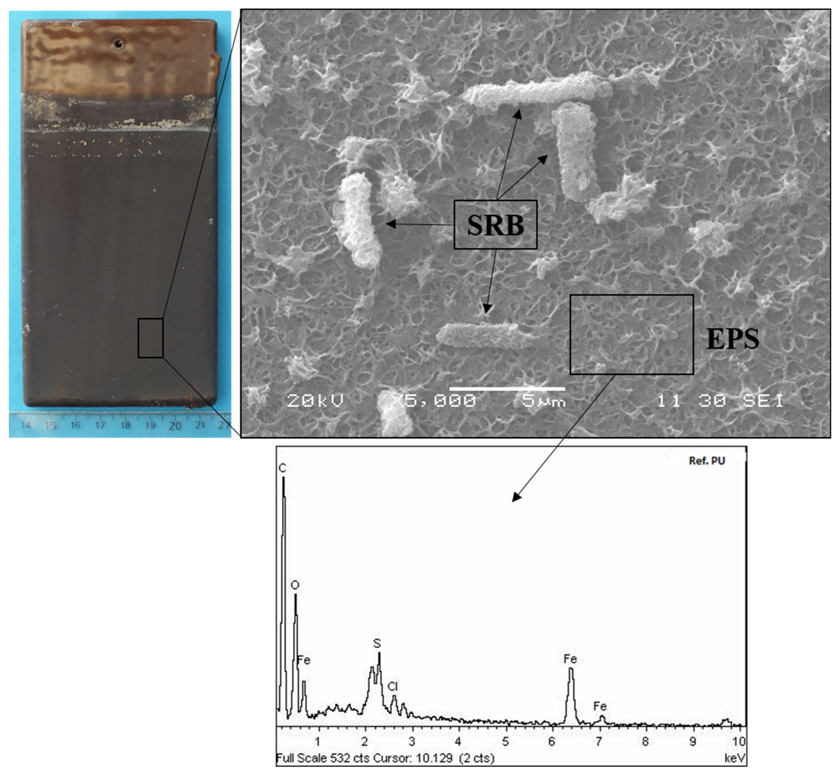 Crystals 14 00260 g006