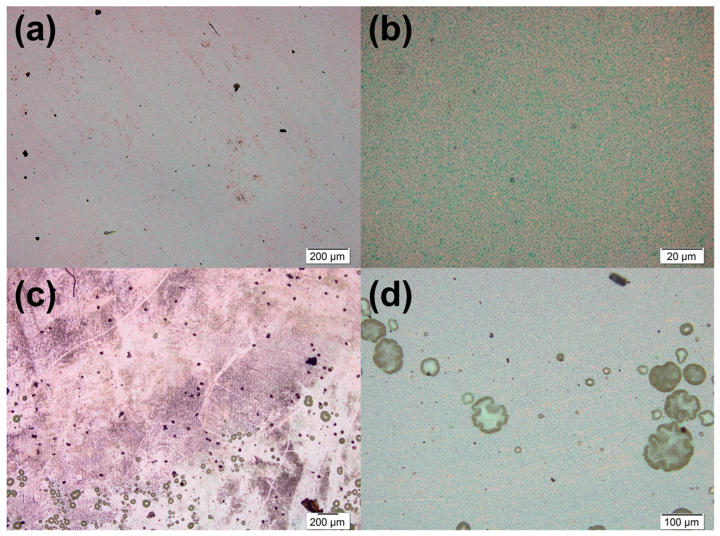 Crystals 14 00267 g008