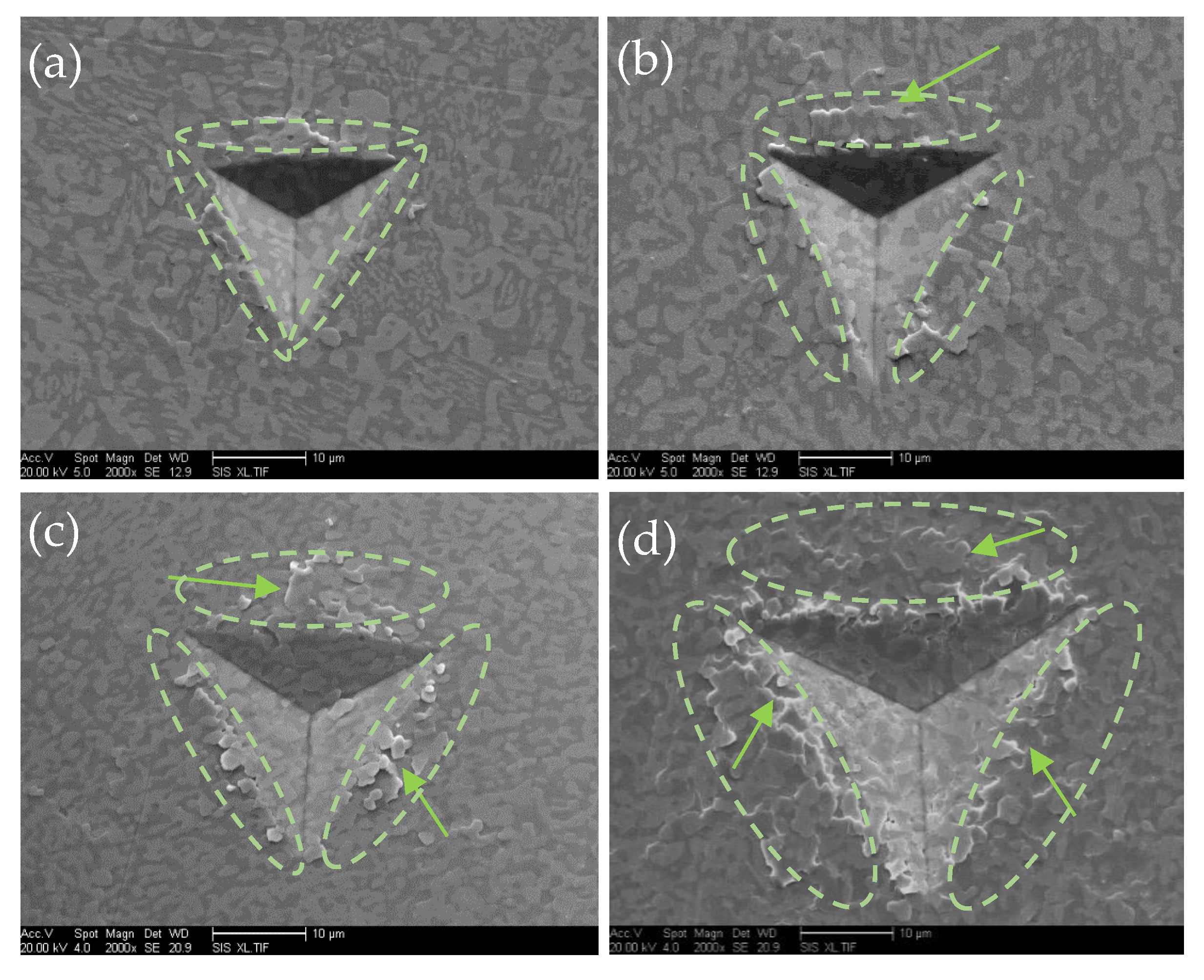 Crystals 14 00269 g008
