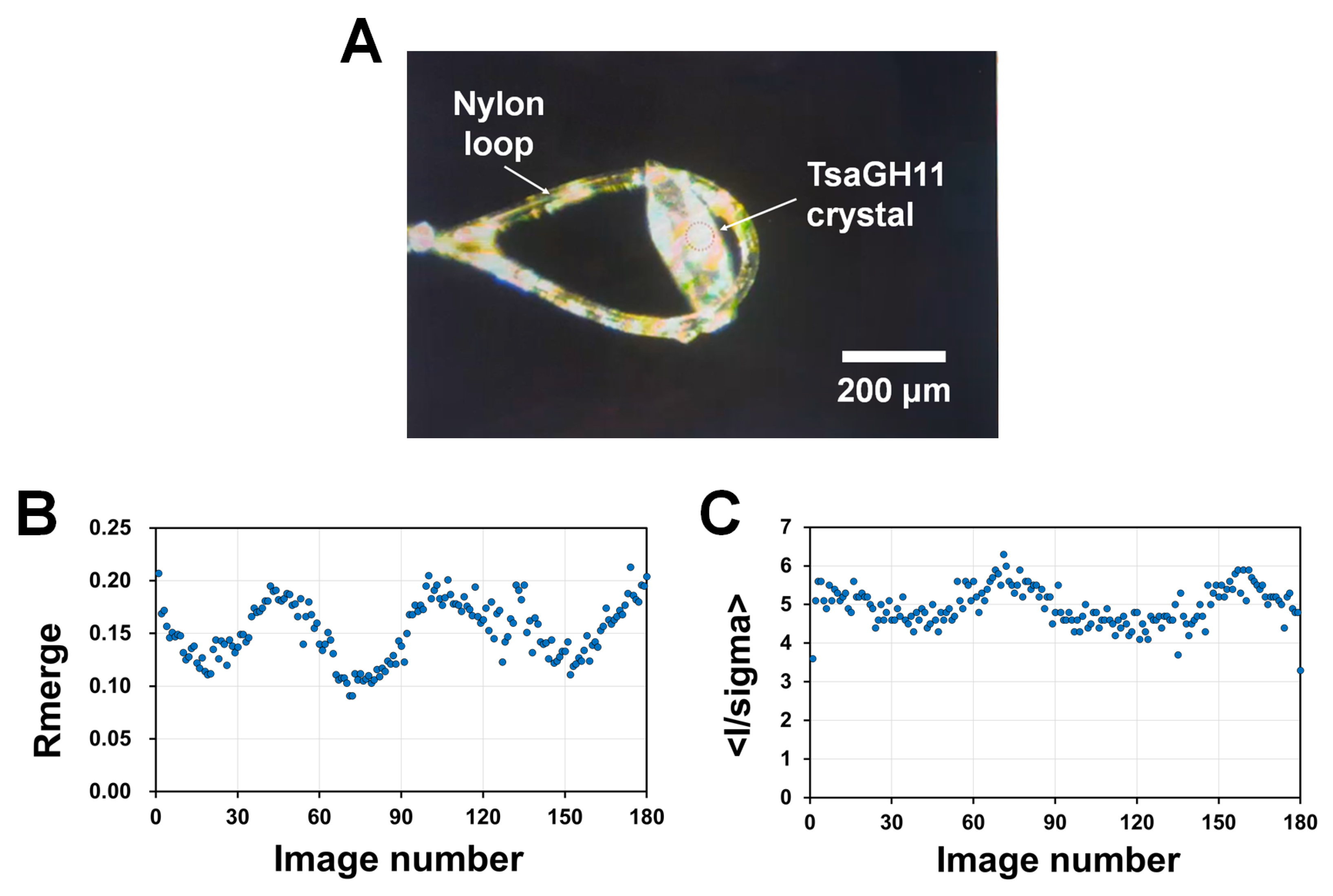 Crystals 14 00276 g001