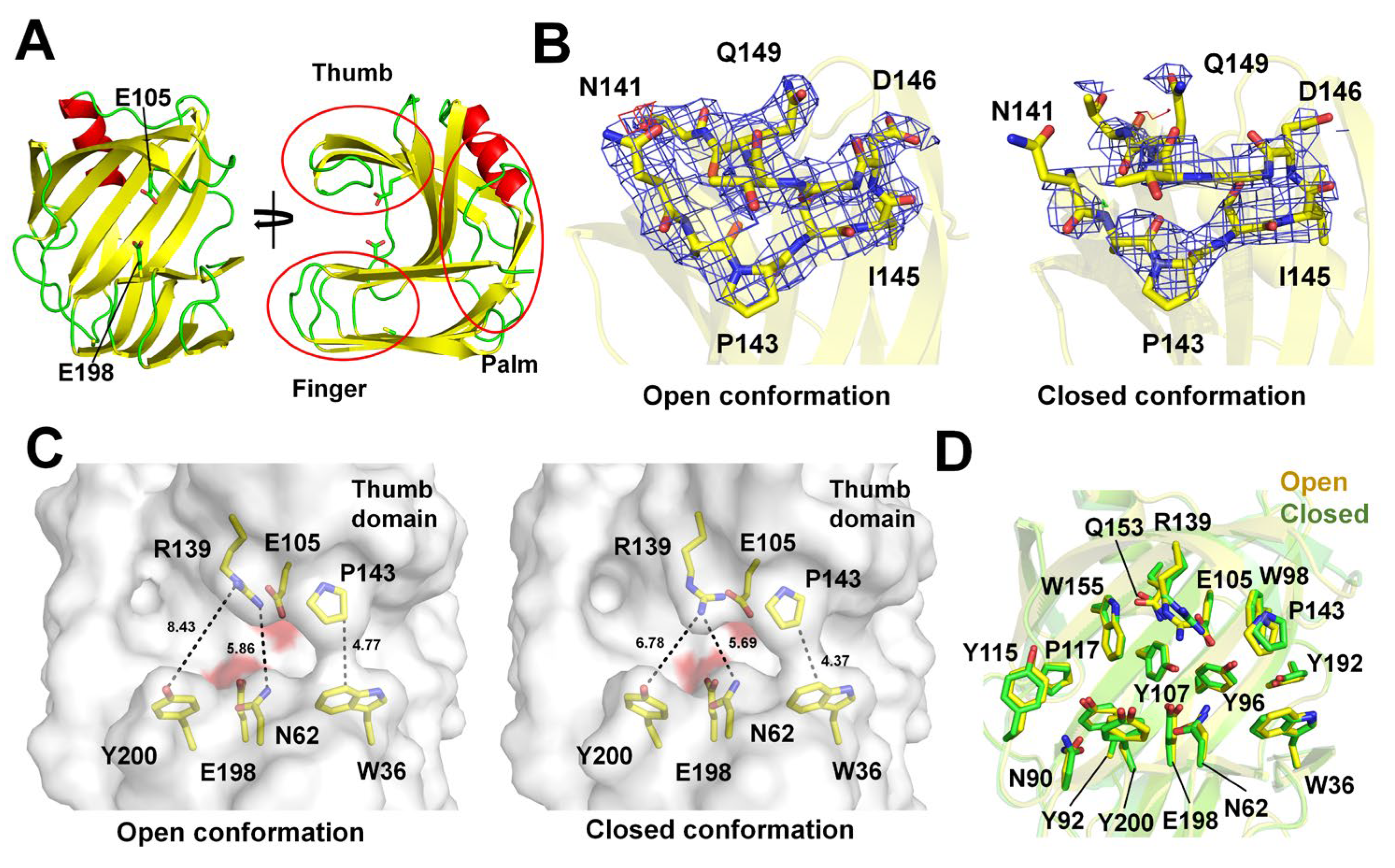 Crystals 14 00276 g002