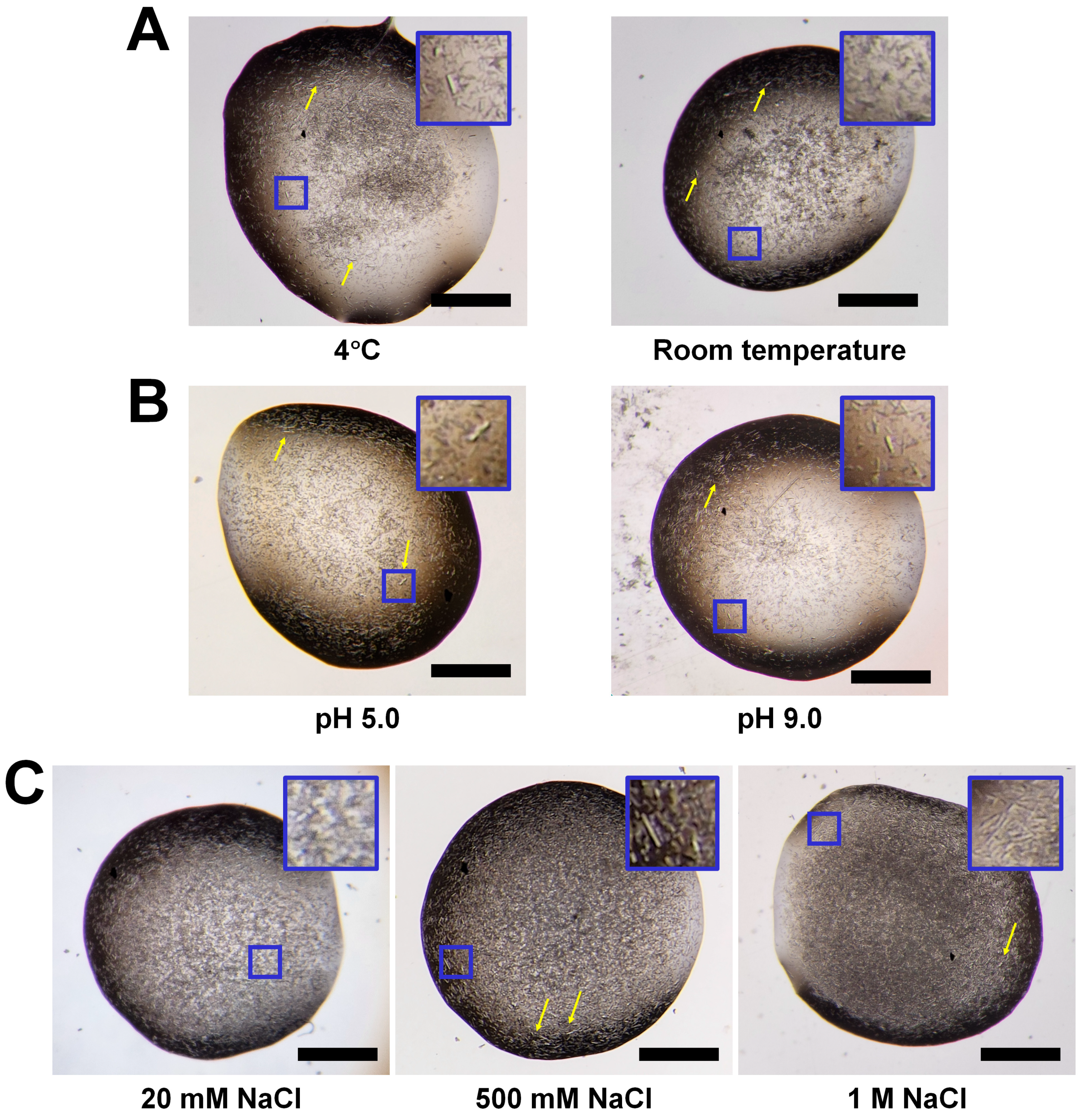 Crystals 14 00289 g001