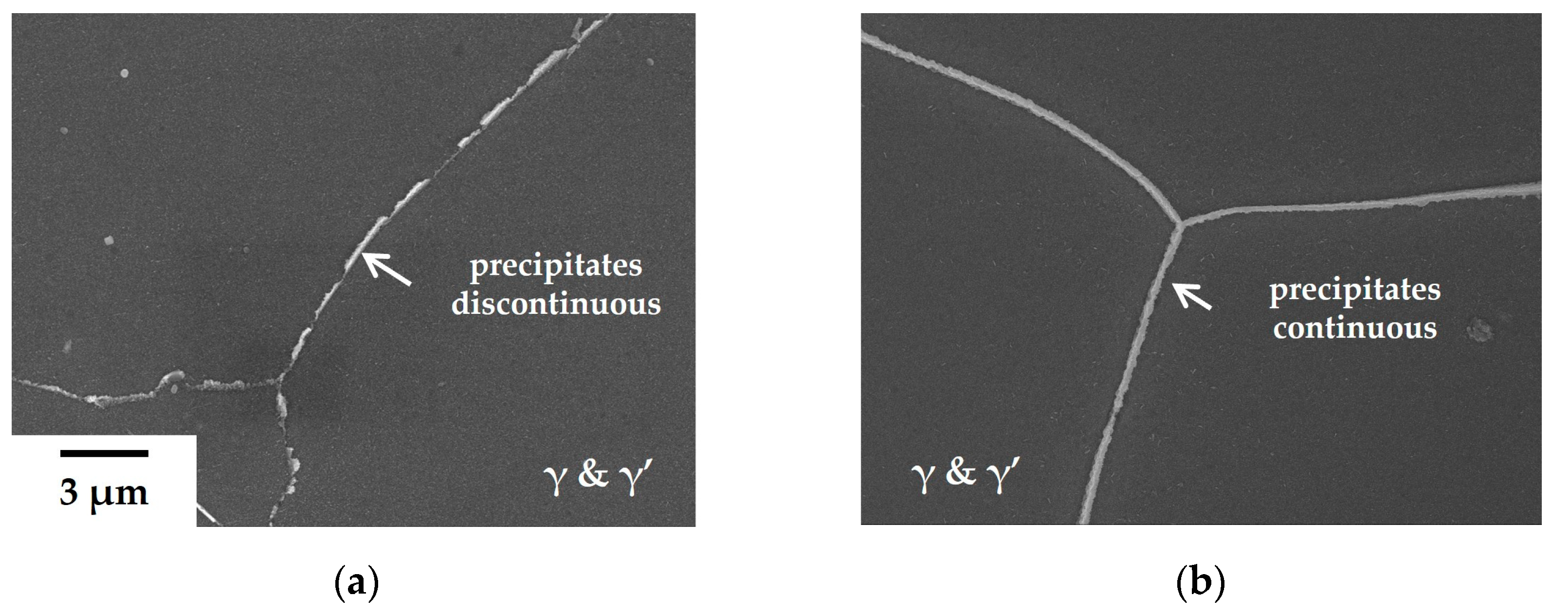 Crystals 14 00290 g004