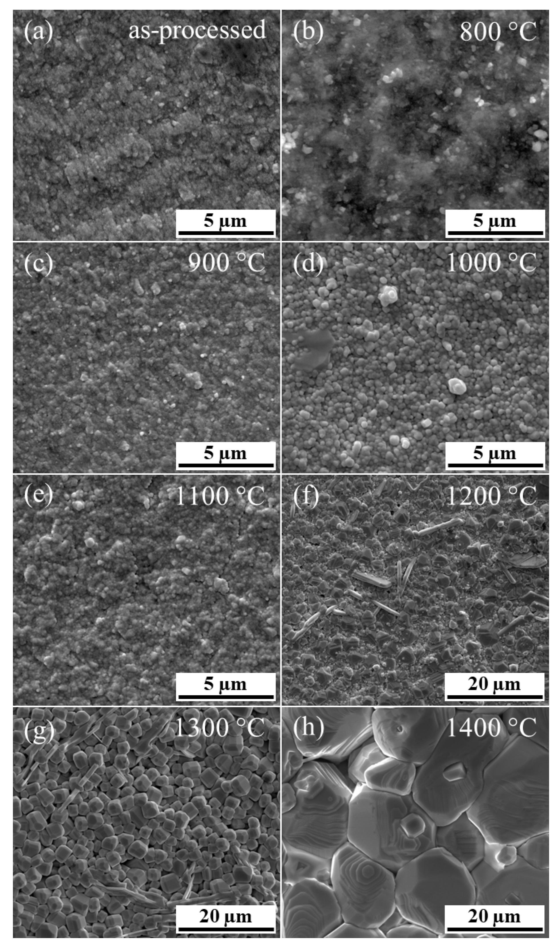 Crystals 14 00296 g004