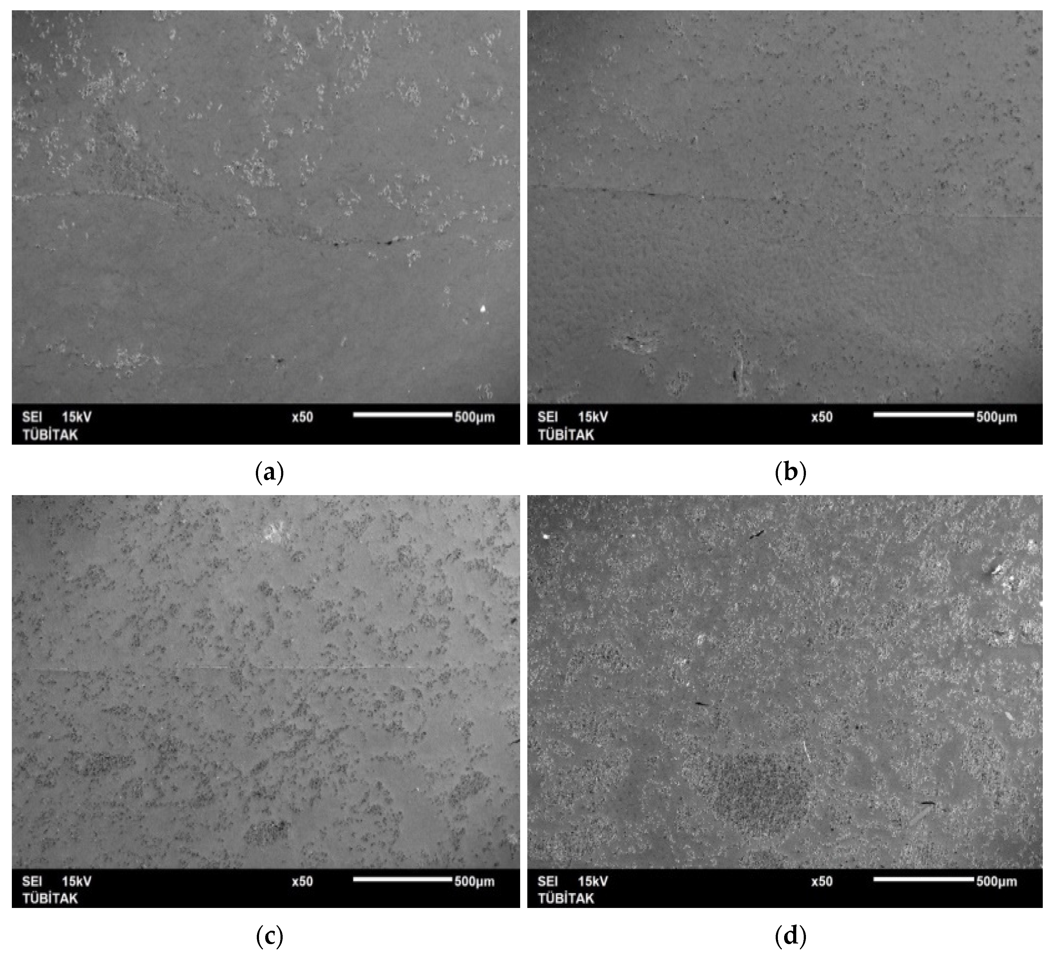 Crystals 14 00297 g010