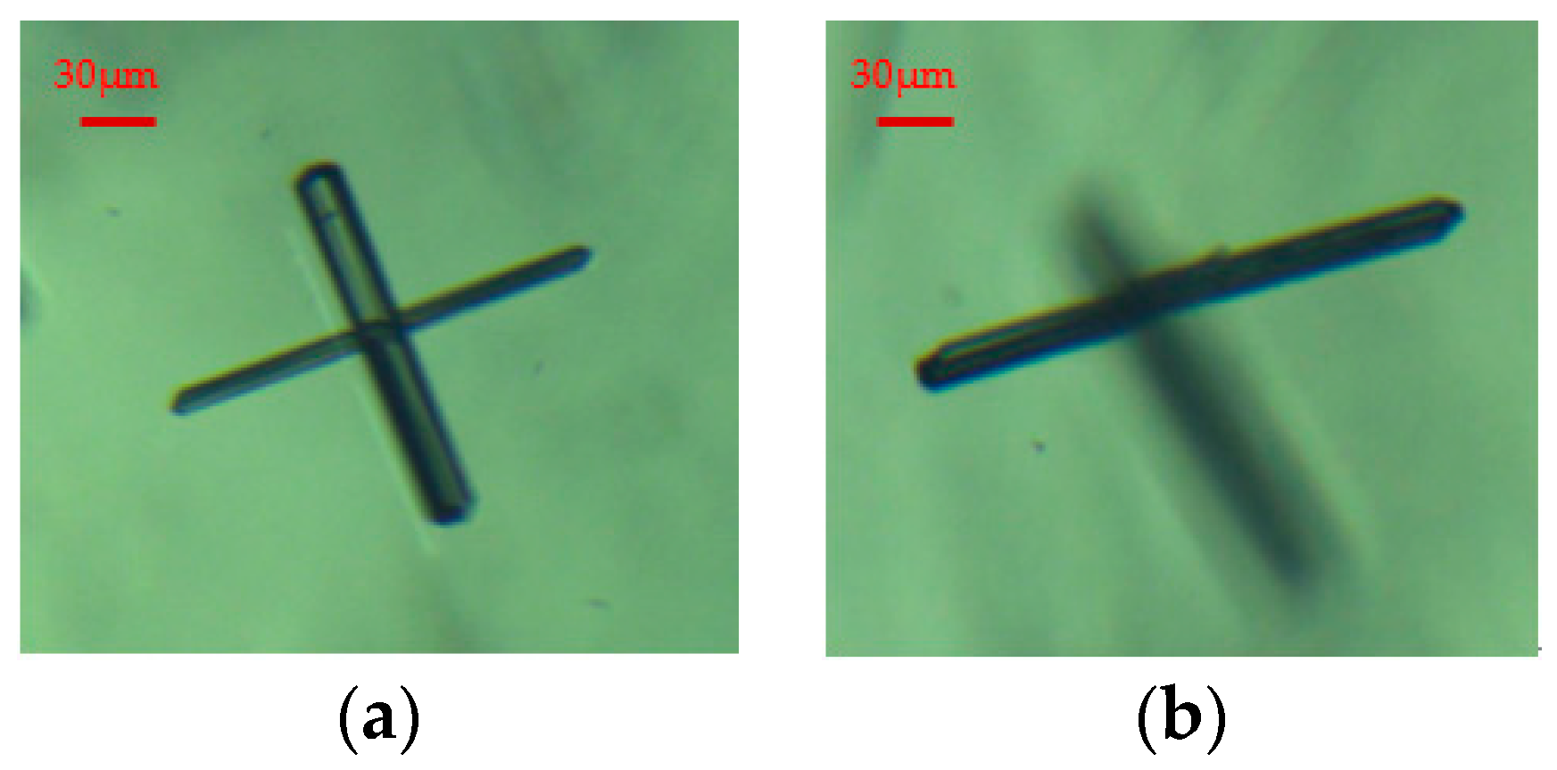 Crystals 14 00298 g003