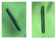 Crystals 14 00298 i004