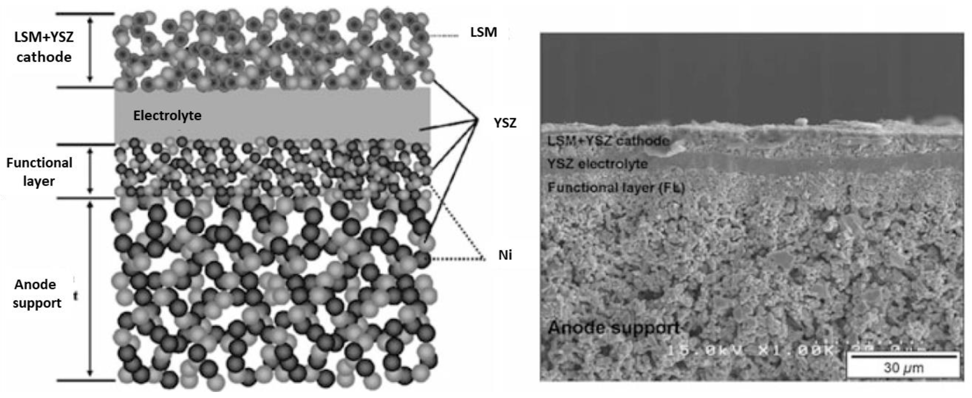 Crystals 14 00306 g003 Crystals 14 00306 g003