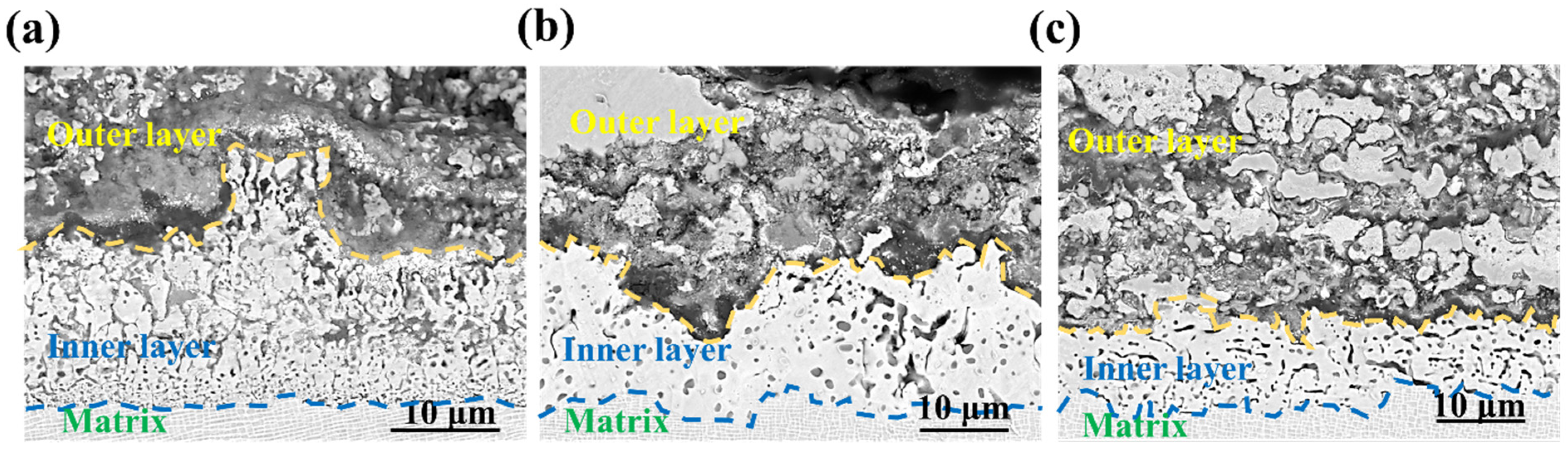 Crystals 14 00307 g004
